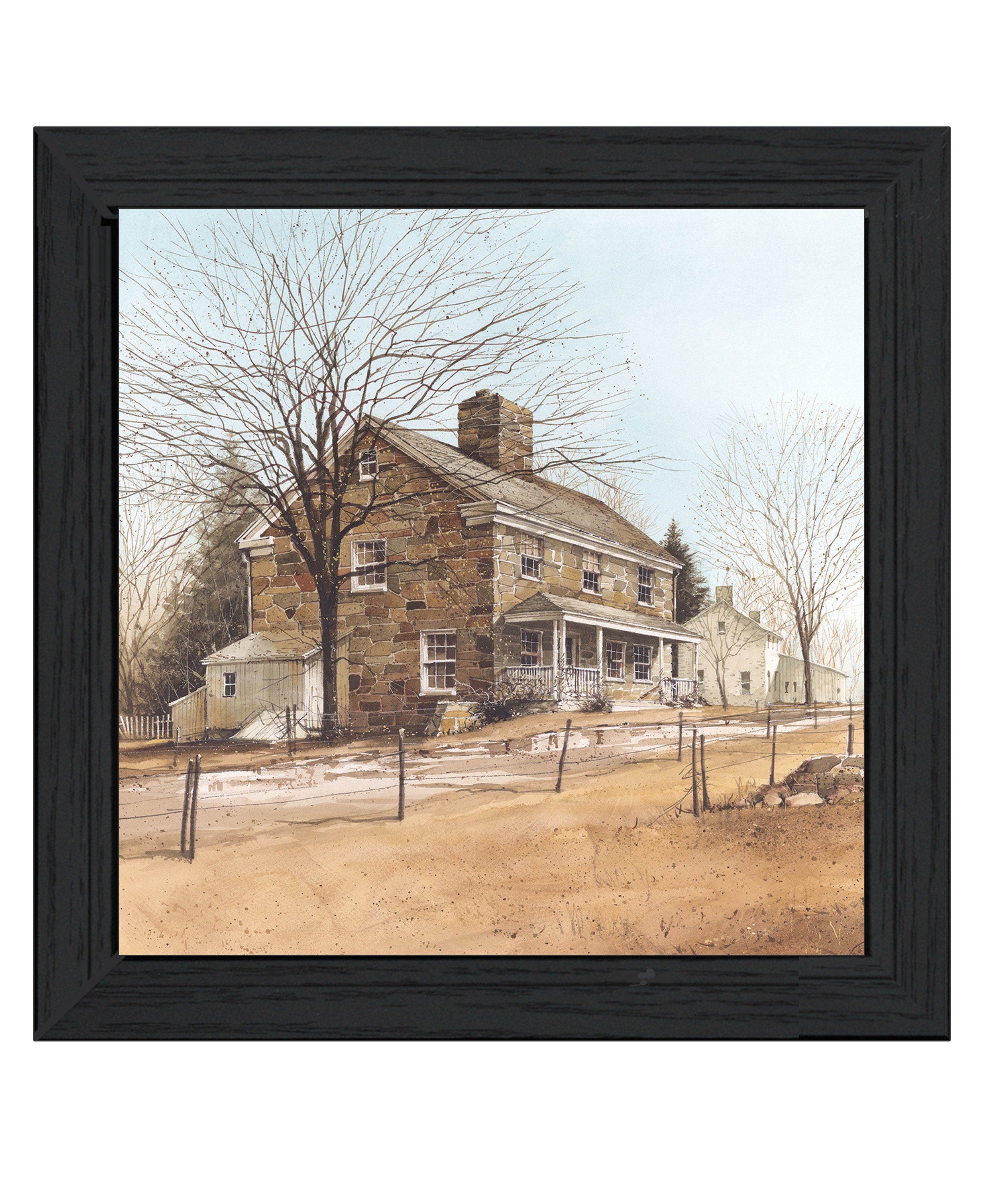 "House on Chestnut" by Artisan John Rossini, Ready to Hang Framed Print, Black Frame