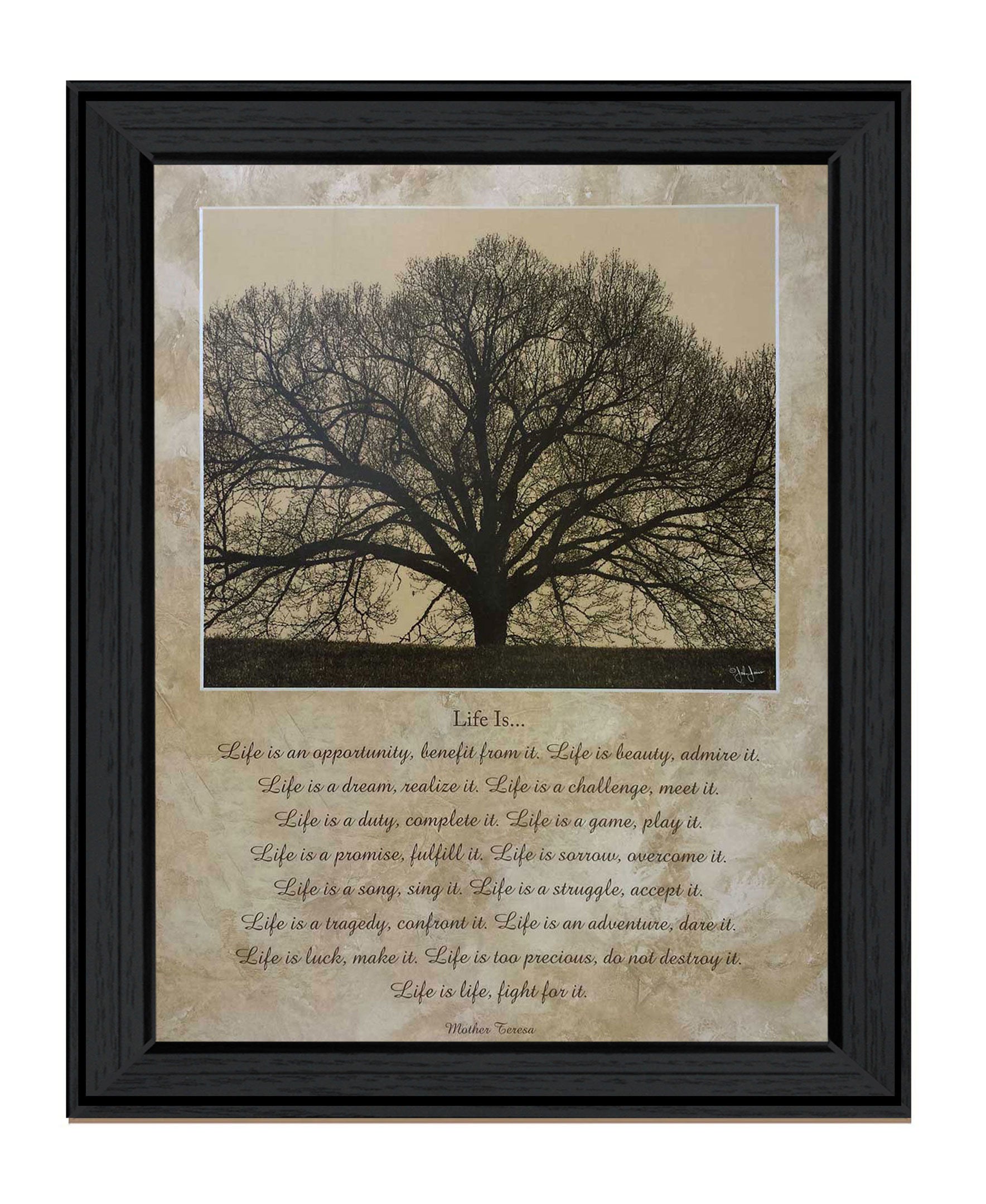 "Life Is" by Artisan John Jones, Ready to Hang Framed Print, Black Frame