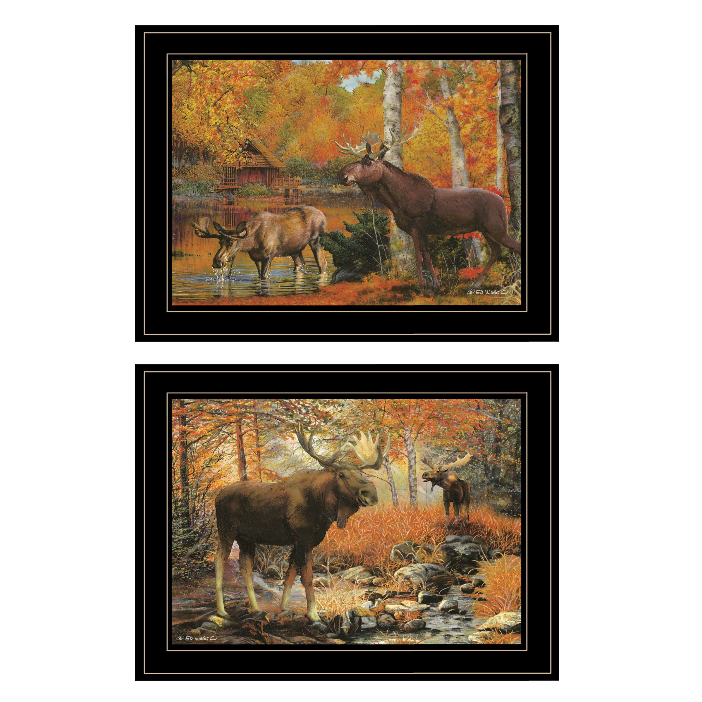 "Great Outdoors" 2-Piece Vignette By Ed Wargo, Ready to Hang Framed Print, Black Frame