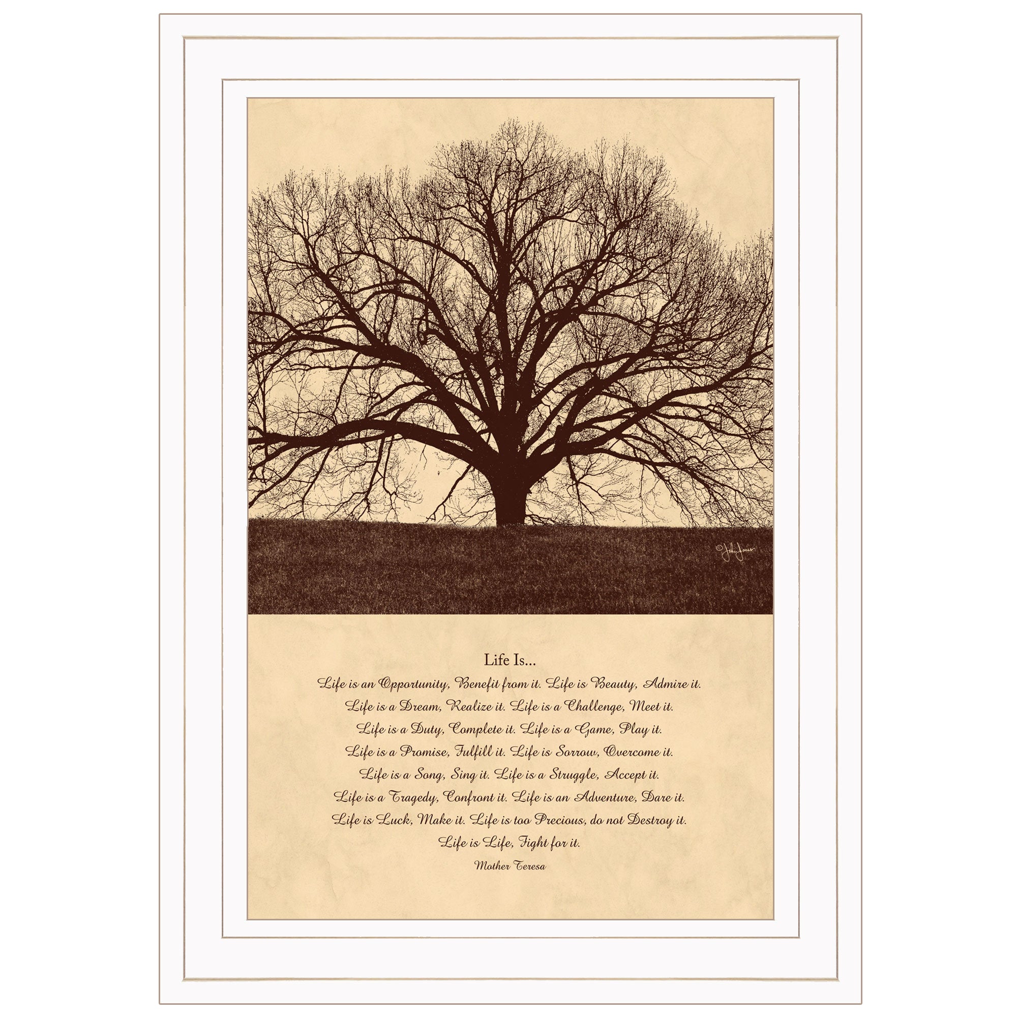 "Life Is" By John Jones, Ready to Hang Framed Print, White Frame