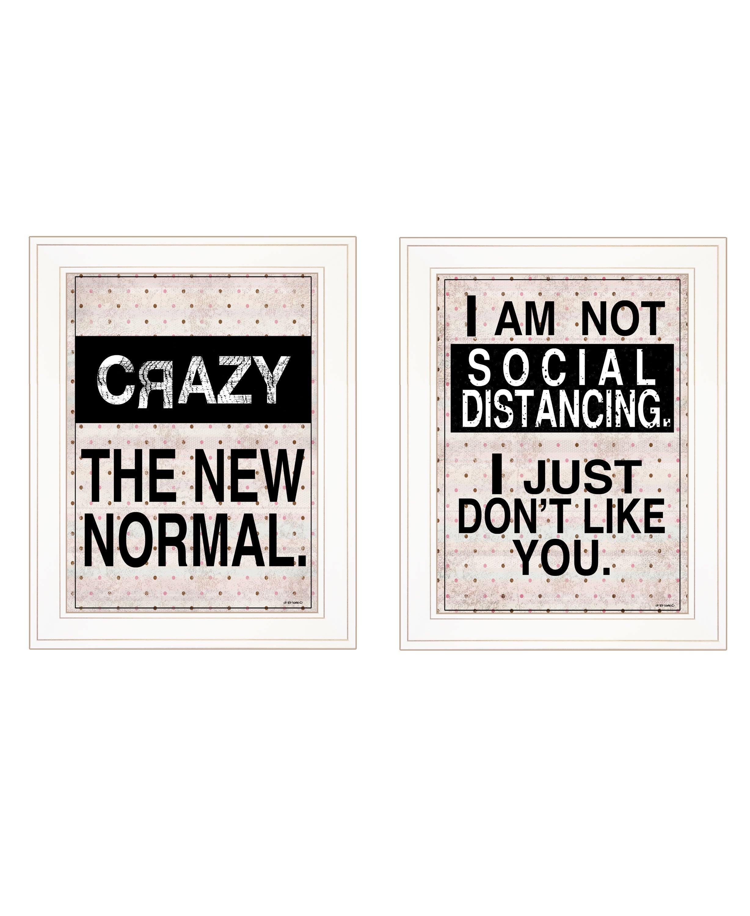 "The New Normal!" 2-Piece Vignette by Ed Wargo, Ready to Hang Framed Print, White Frame