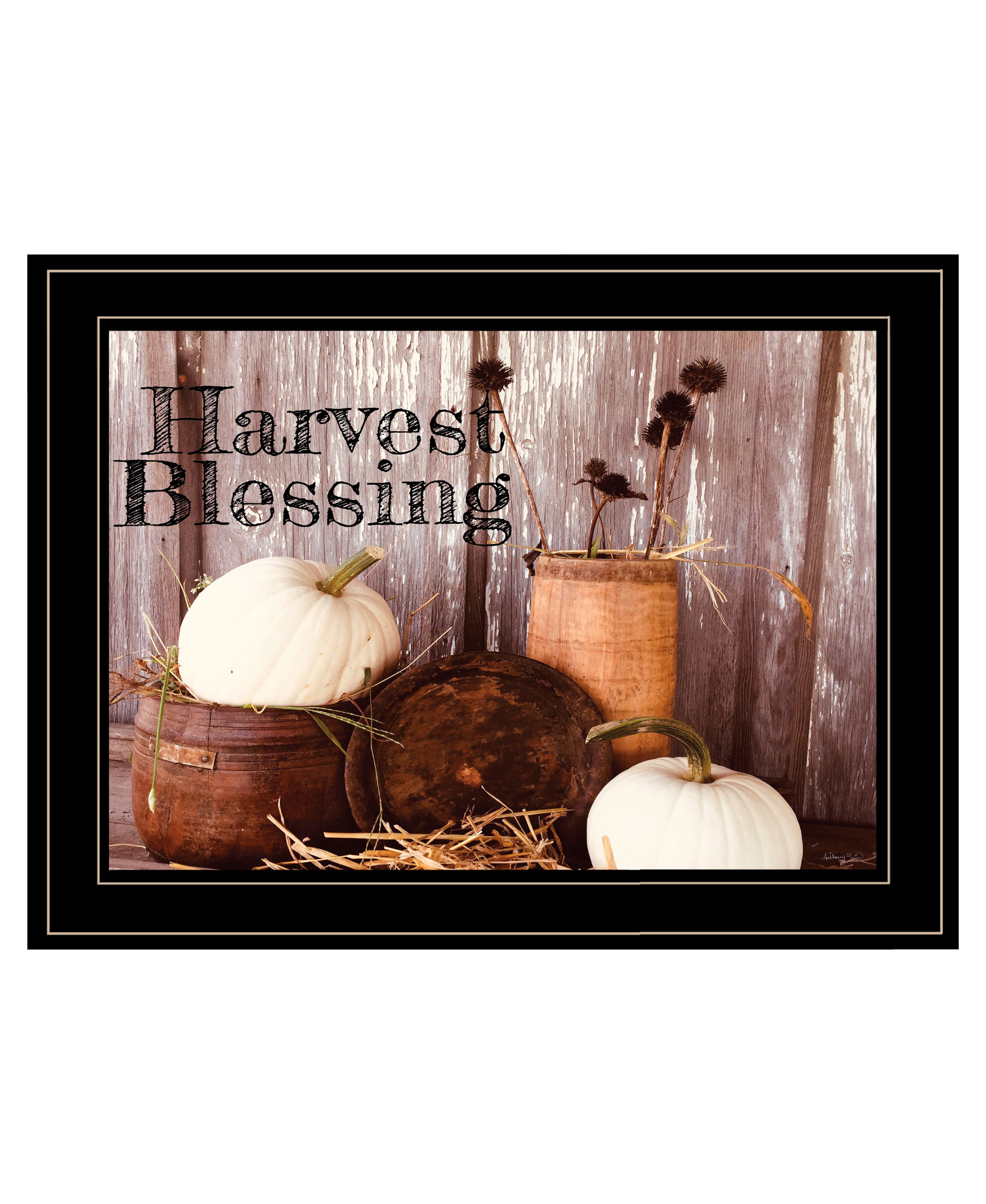 "Harvest Blessings" by Anthony Smith, Ready to Hang Framed Print, Black Frame