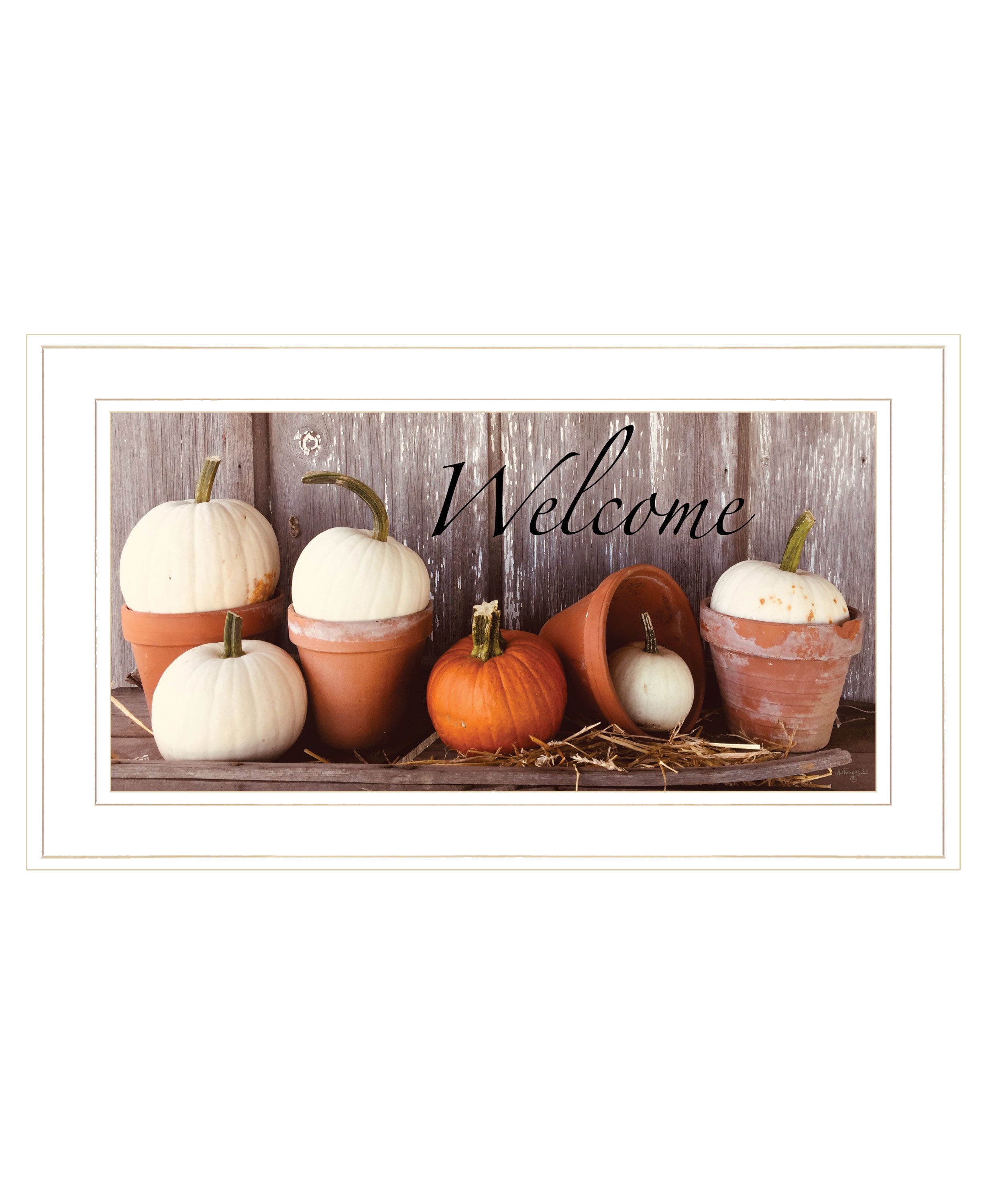 "Welcome Pumpkin Shelf" by Anthony Smith, Ready to Hang Framed Print, White Frame