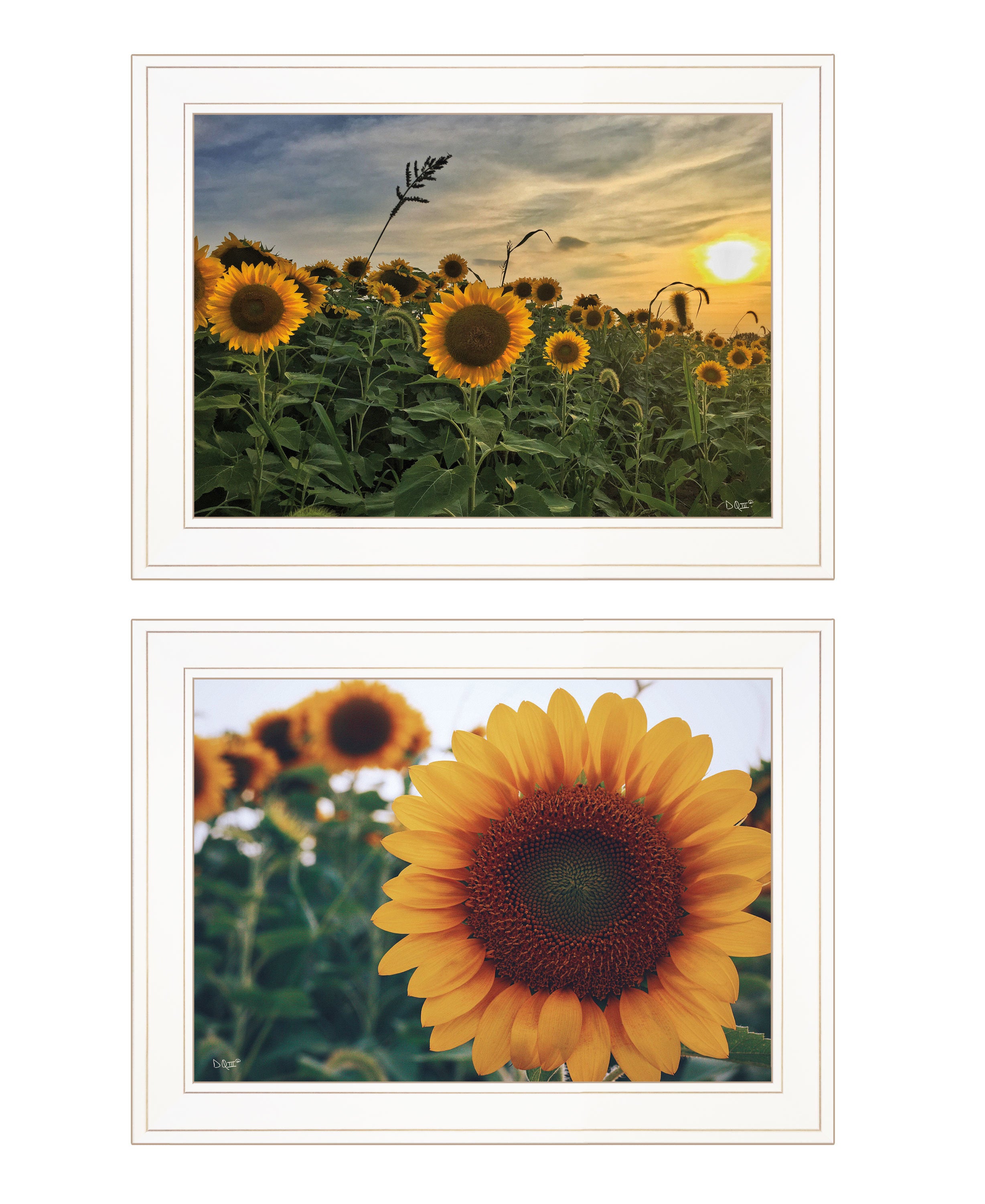 "Midwest Living Collection" 2-Piece Vignette By Donnie Quillen, Ready to Hang Framed Print, White Frame