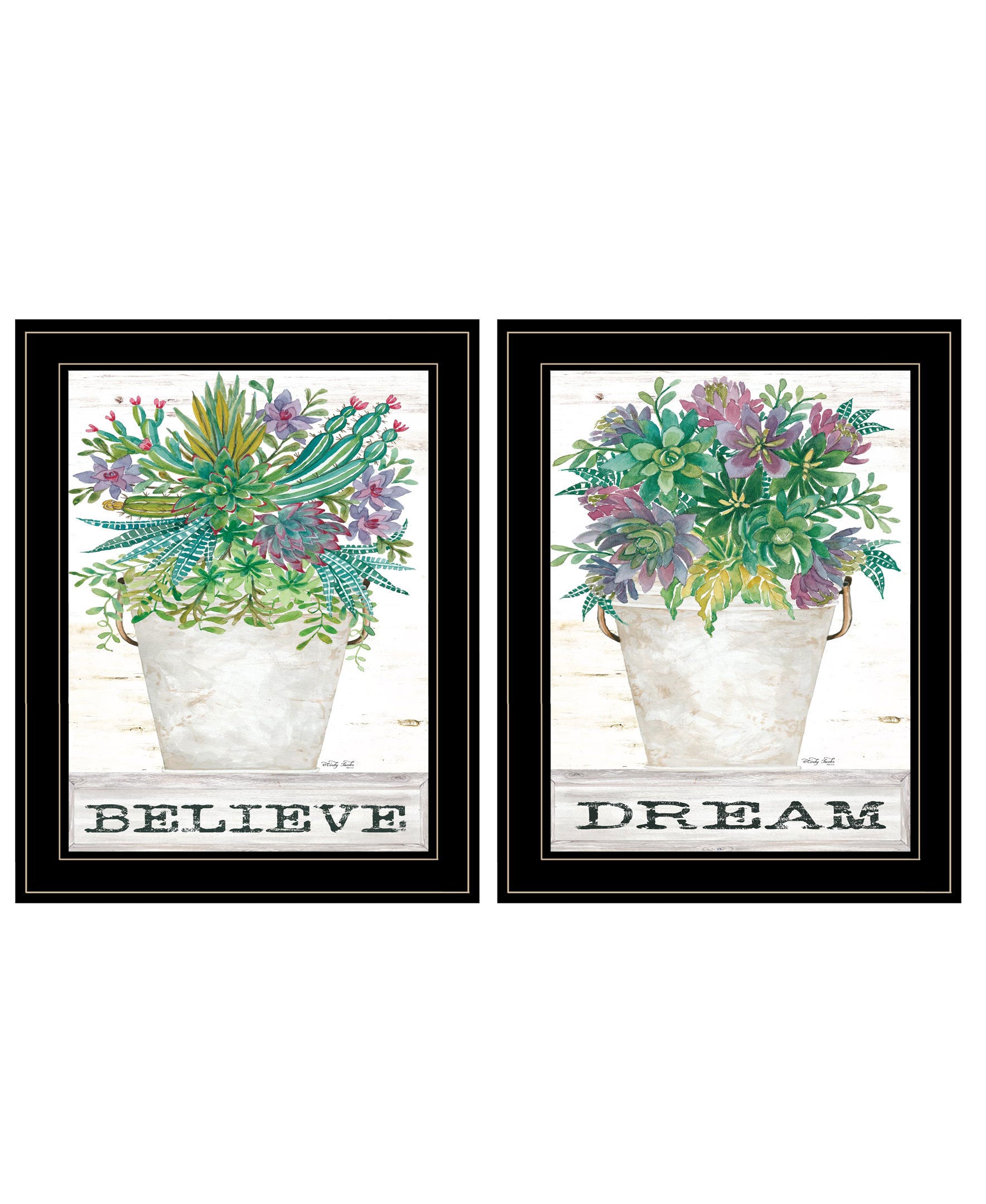 "Succulents-Dream & Believe" 2-Piece Vignette by Cindy Jacobs, Ready to Hang Framed Print, Black Frame