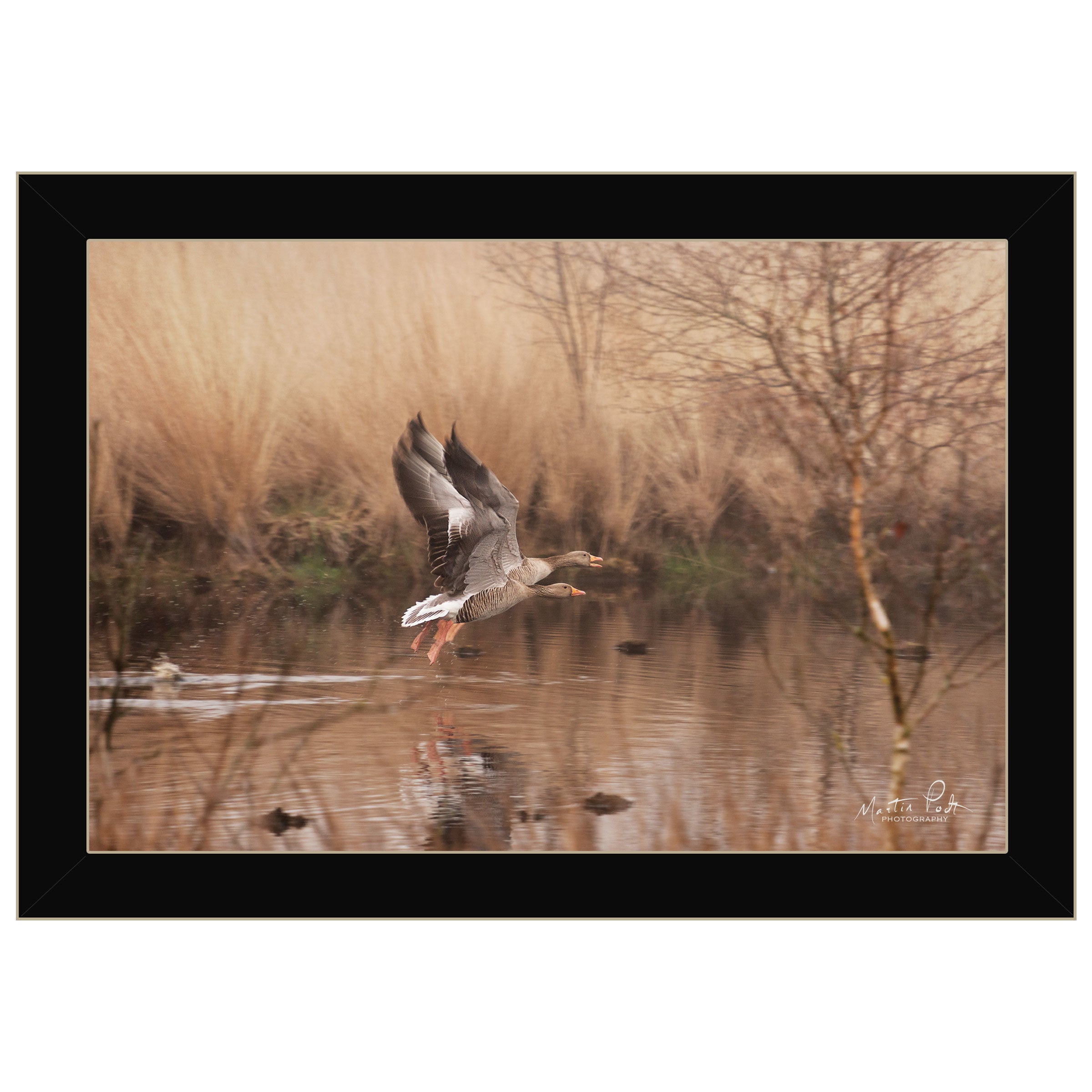 "Fly Away" By Martin Podt, Ready to Hang Framed Print, Black Frame