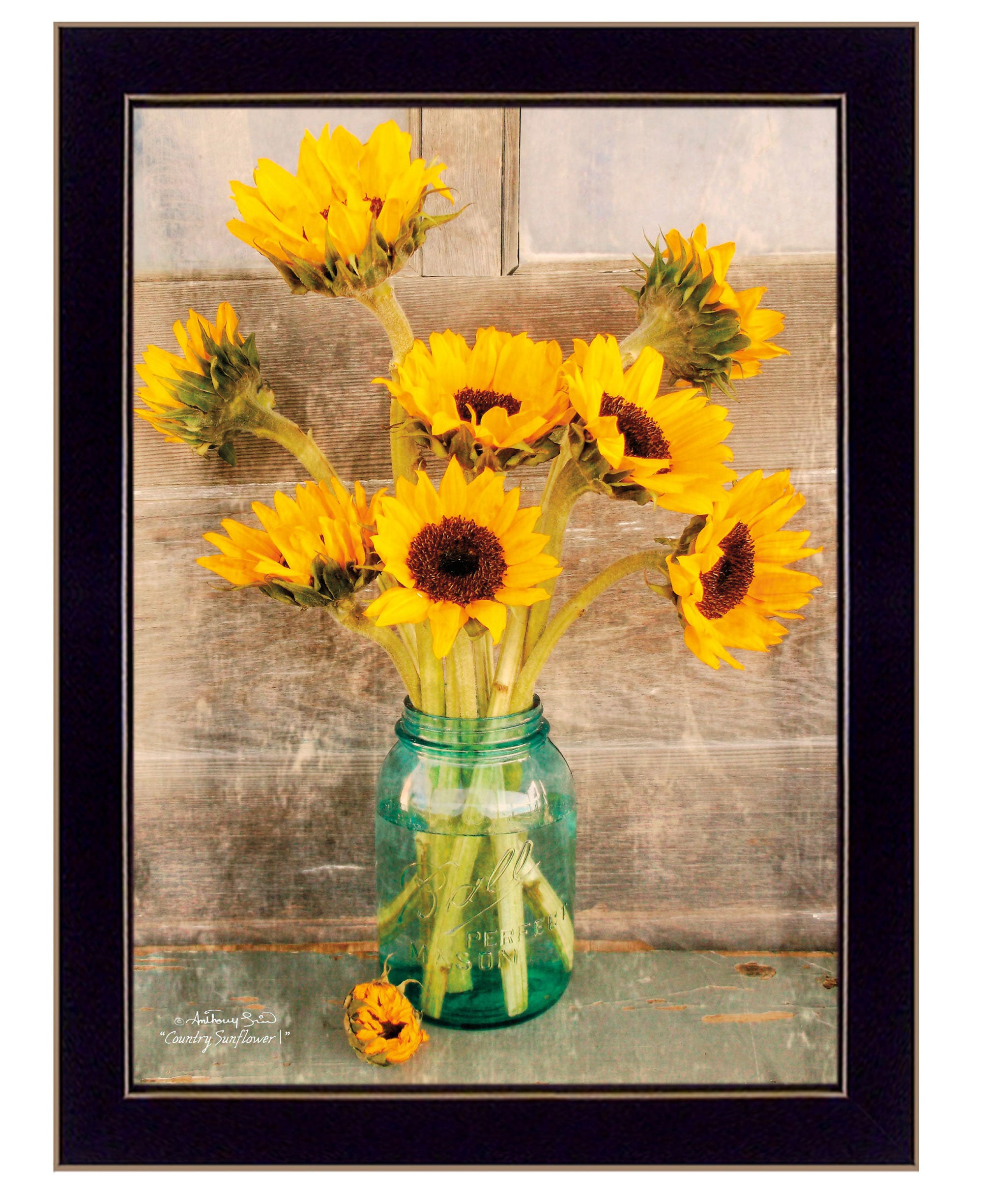 "Country Sunflowers 1" by Anthony Smith, Ready to Hang Framed Print, Black Frame