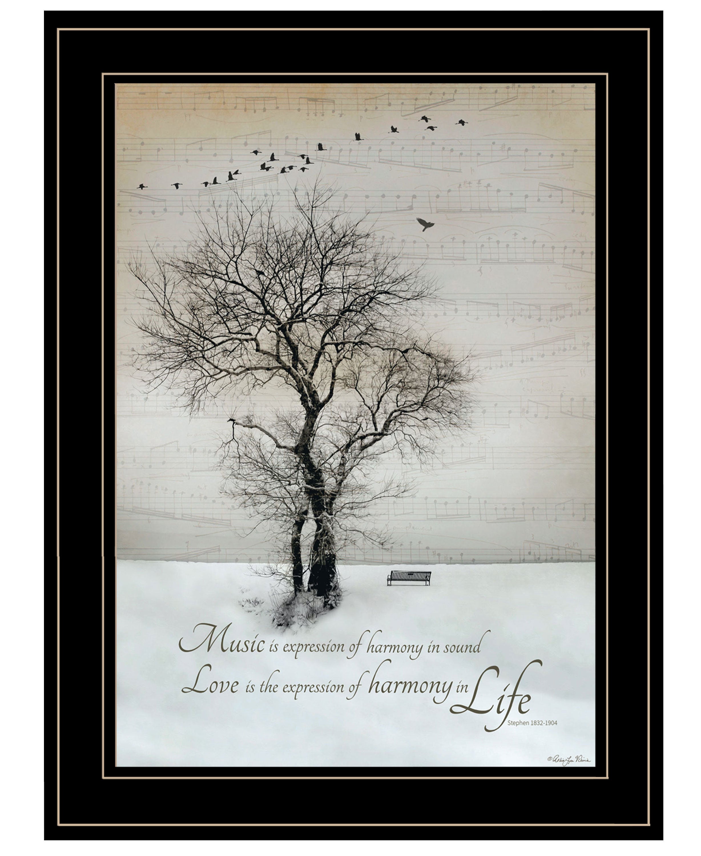 "Harmony" by Artisan Robin-Lee Vieira, Ready to Hang Framed Print, Black Frame