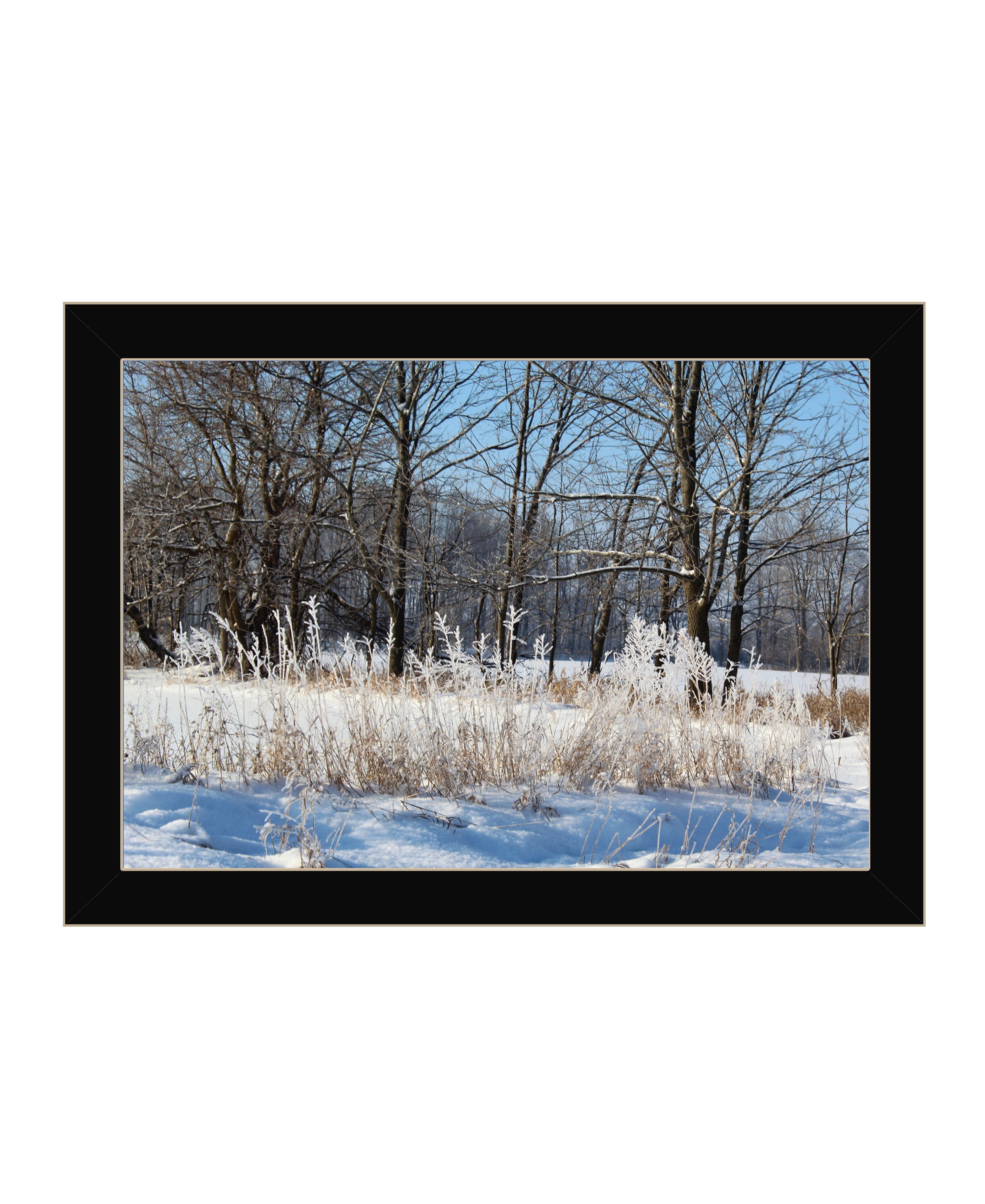 "Natures Simple Blessings" by Artisan Trendy Decor 4U, Ready to Hang Framed Print, Black Frame