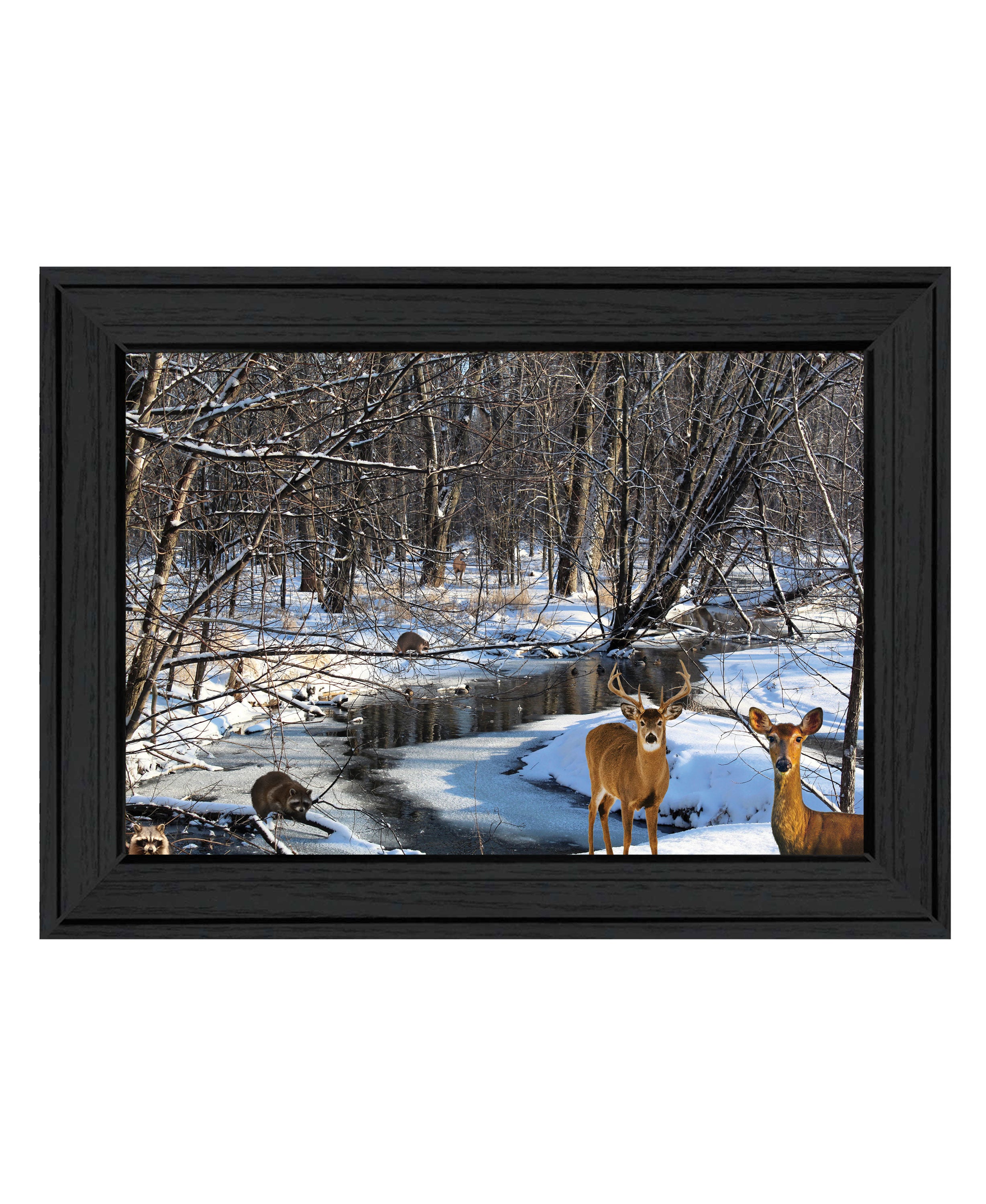 "Great Outdoors- Nature" by Artisan Trendy Decor 4U, Ready to Hang Framed Print, Black Frame