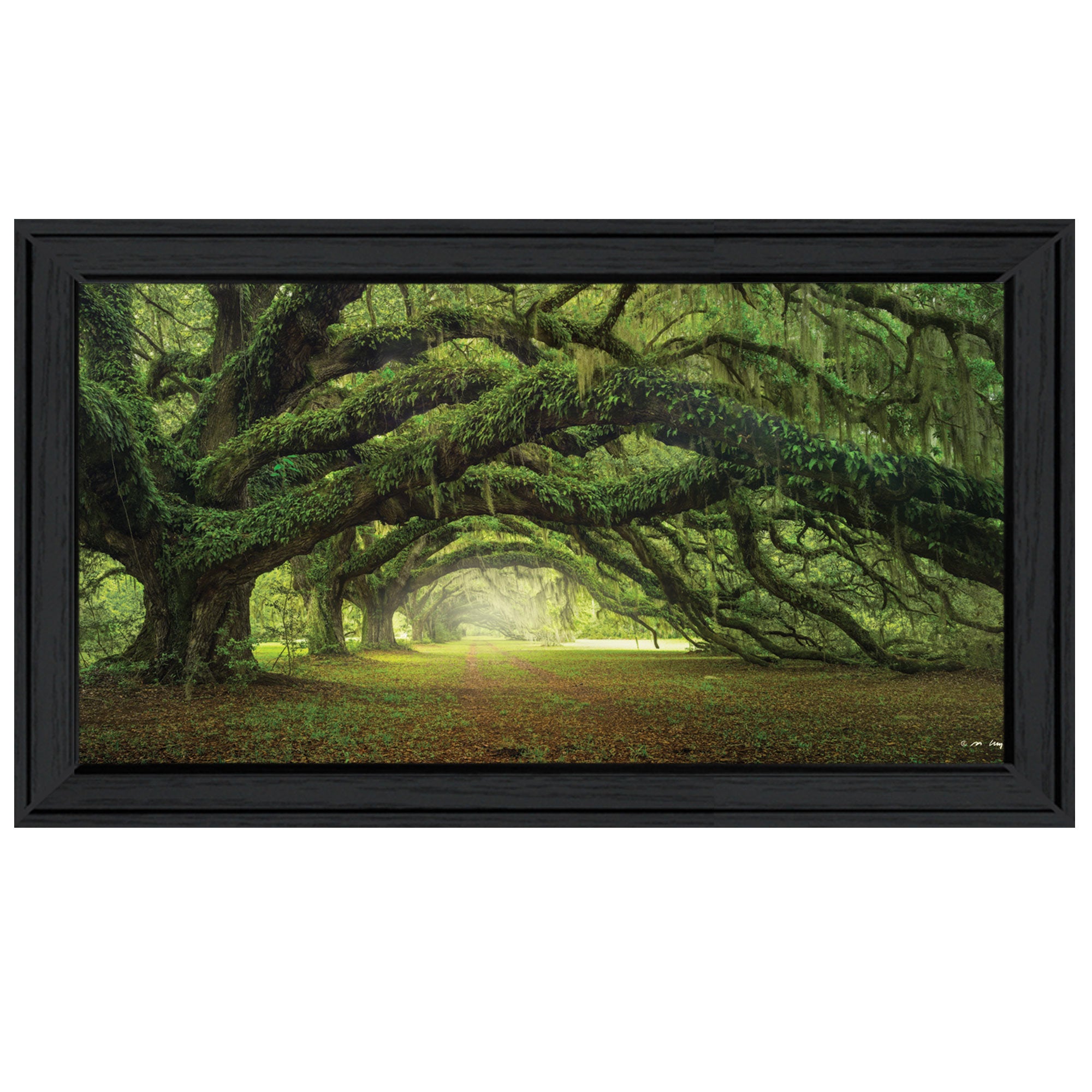 "Passage" by Artisan Moises Levy, Ready to Hang Framed Print, Black Frame
