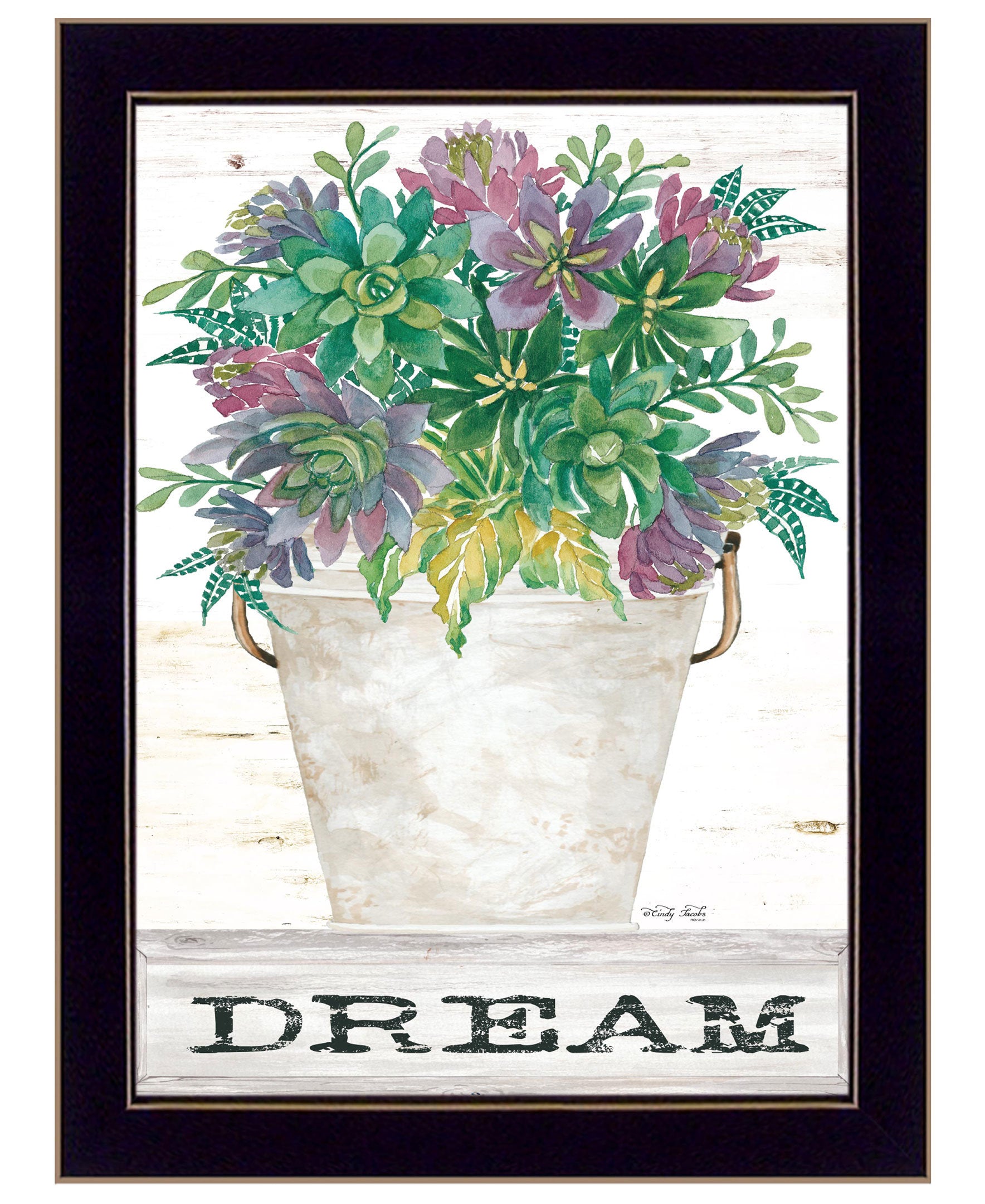 "Dream Succulents" by Cindy Jacobs, Ready to Hang Framed Print, Black Frame