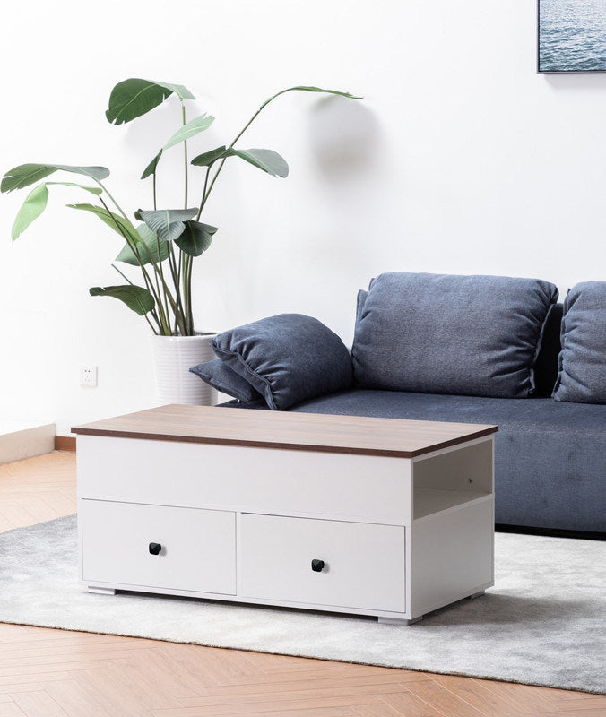 Luna 45.5" White Coffee Table with Brown Walnut Finish Lift Top, 2 Drawers, and 2 Shelves