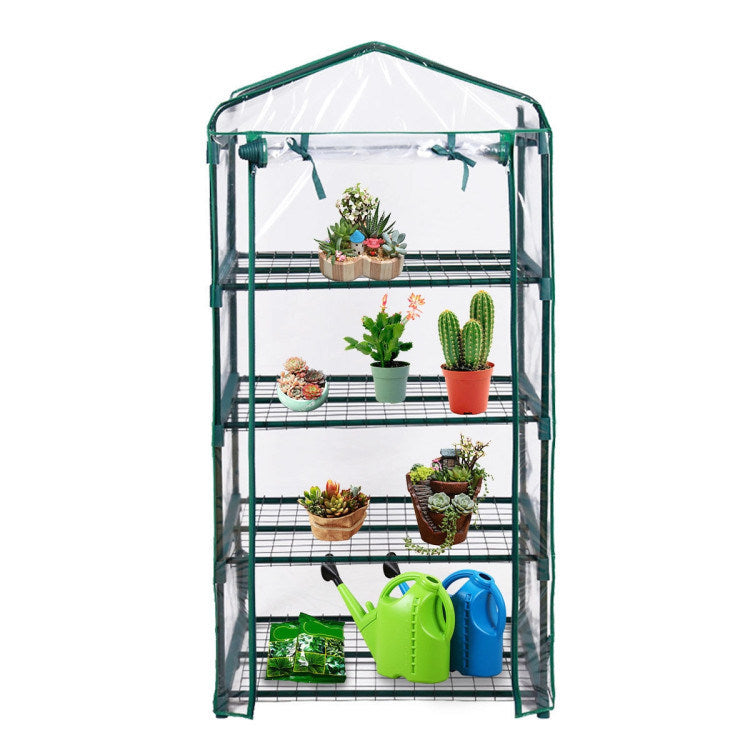 Garden Greenhouse Hot House Tomato Plant Warm House