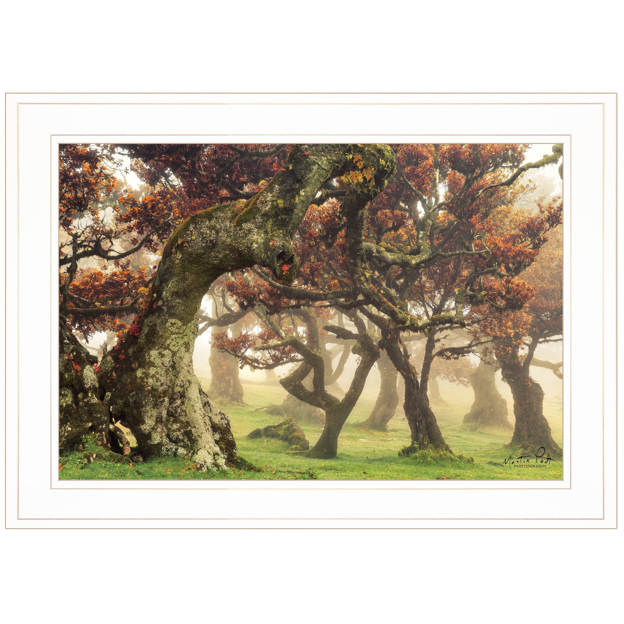 "Fanal" by Martin Podt, Ready to Hang Framed Print, White Frame