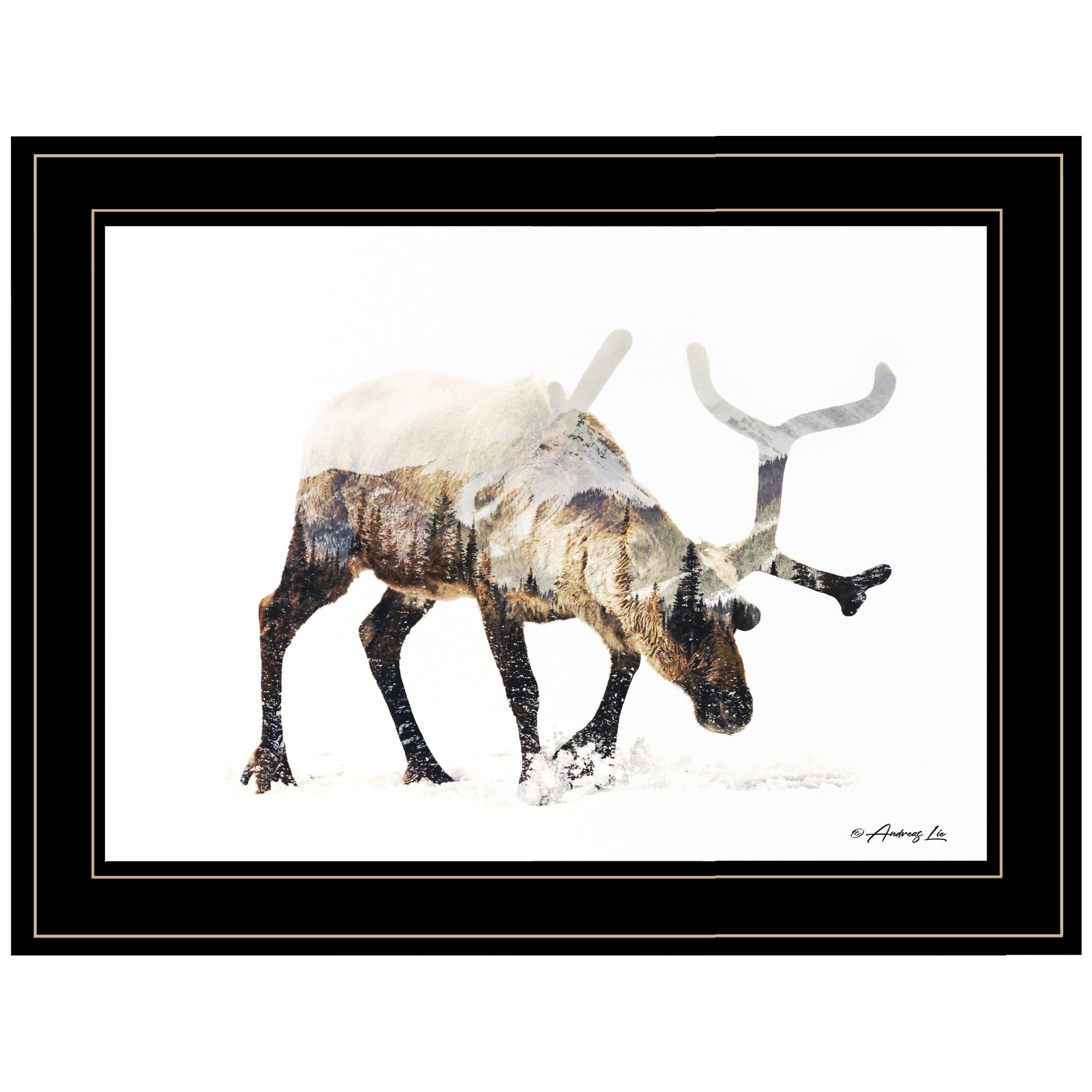 "Arctic Reindeer" by Andreas Lie, Ready to Hang Framed Print, Black Frame