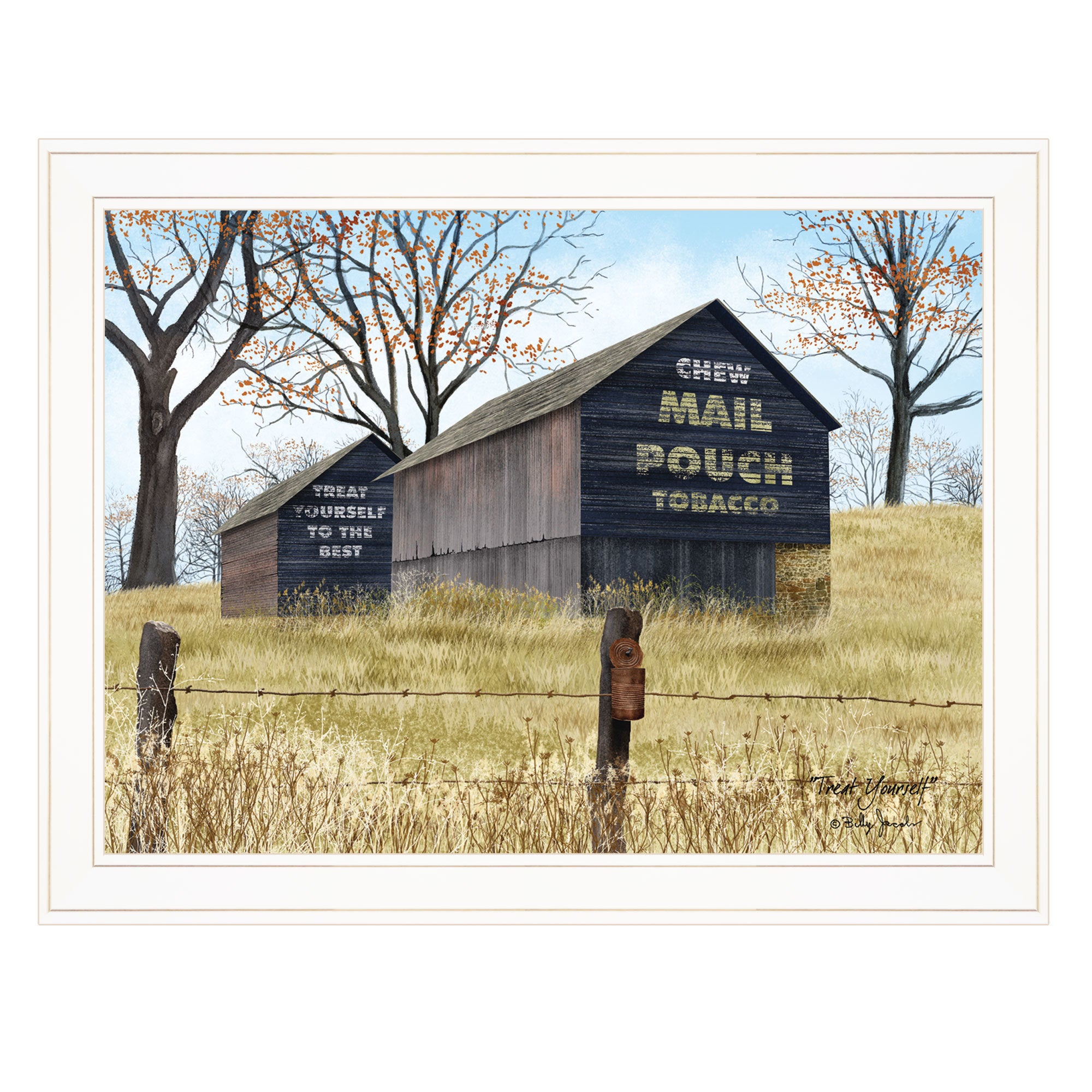 "Treat Yourself" (Mail Pouch Barn) by Billy Jacobs, Ready to Hang Framed Print, White Frame