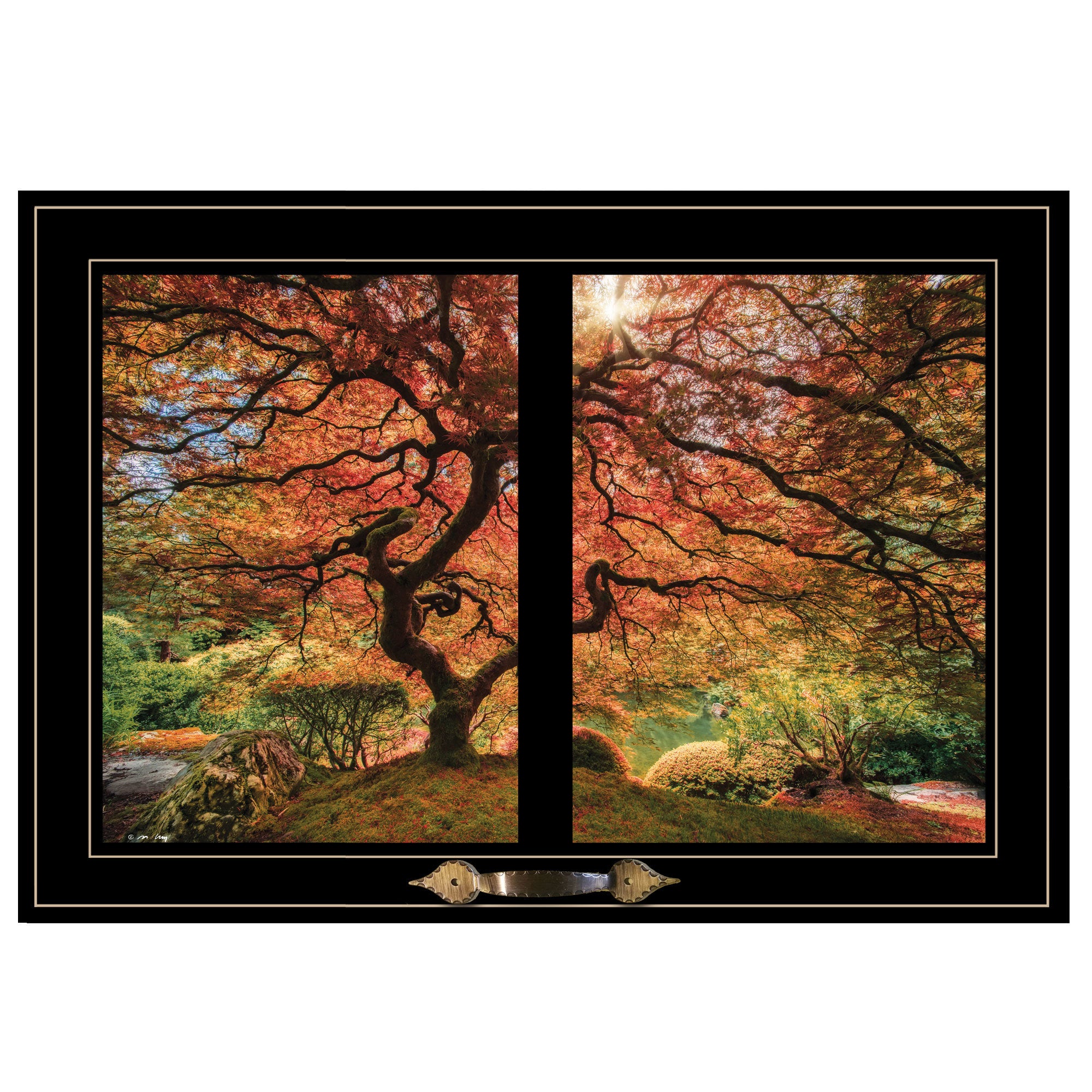 "First Colors of Fall I" by Moises Levy, Ready to Hang Framed Print, Black Window-Style Frame