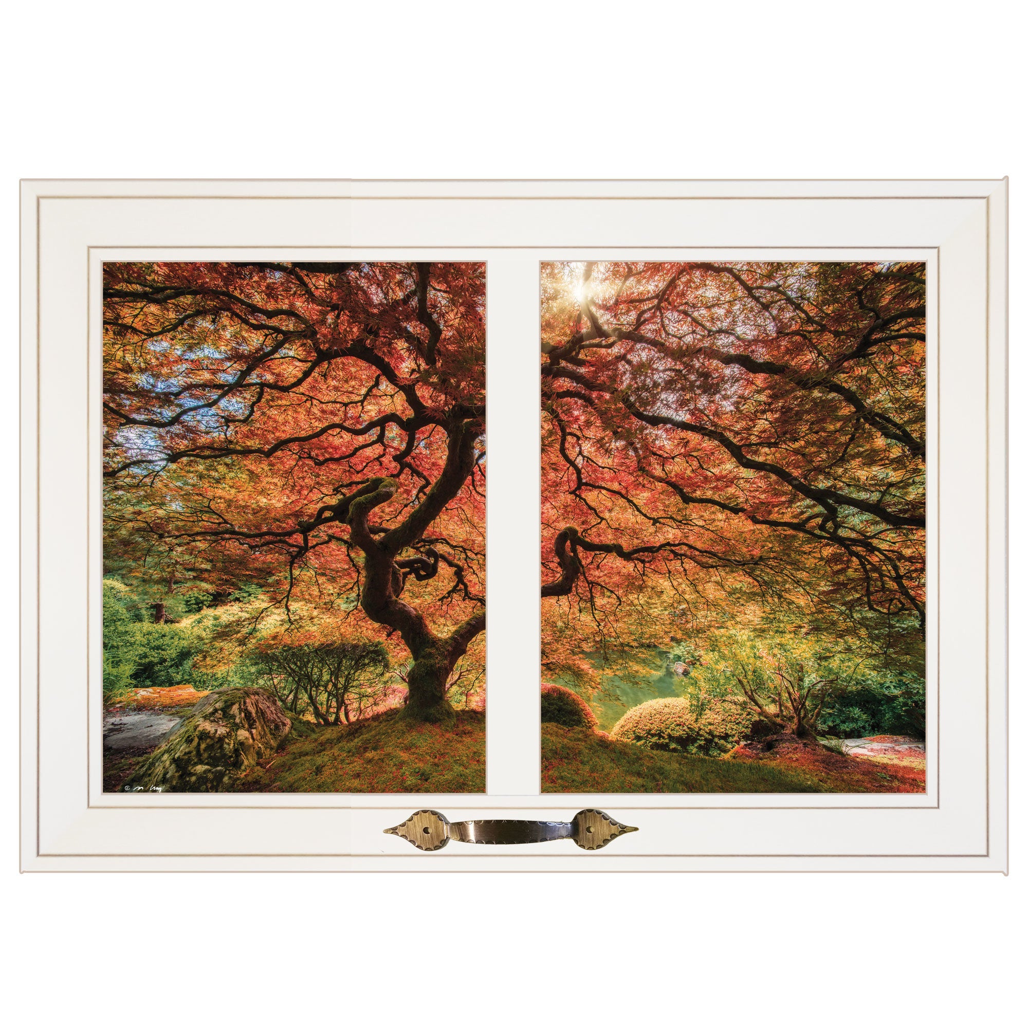"First Colors of Fall I" by Moises Levy, Ready to Hang Framed Print, White Window-Style Frame