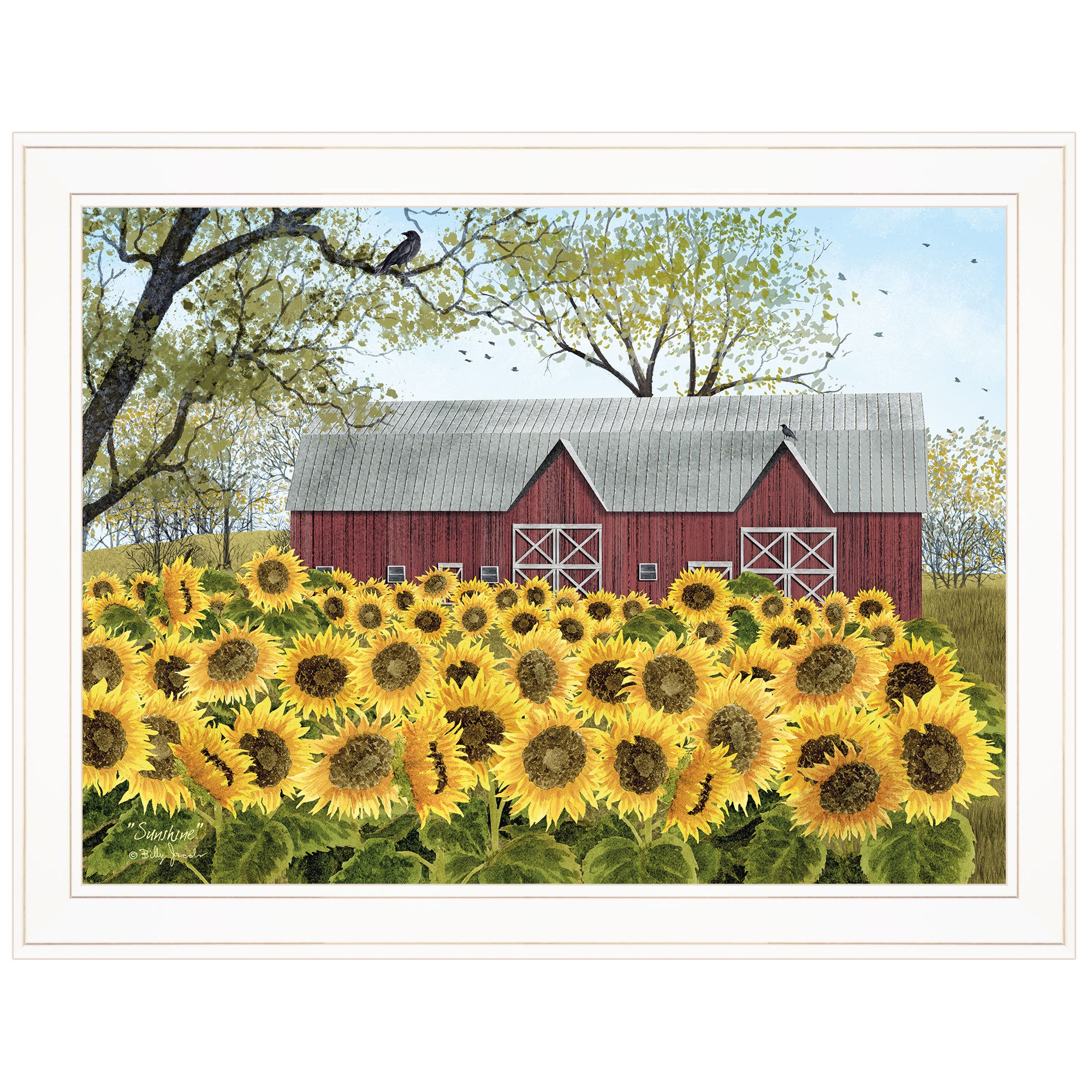 "Sunshine" by Billy Jacobs, Ready to Hang Framed Print, White Frame