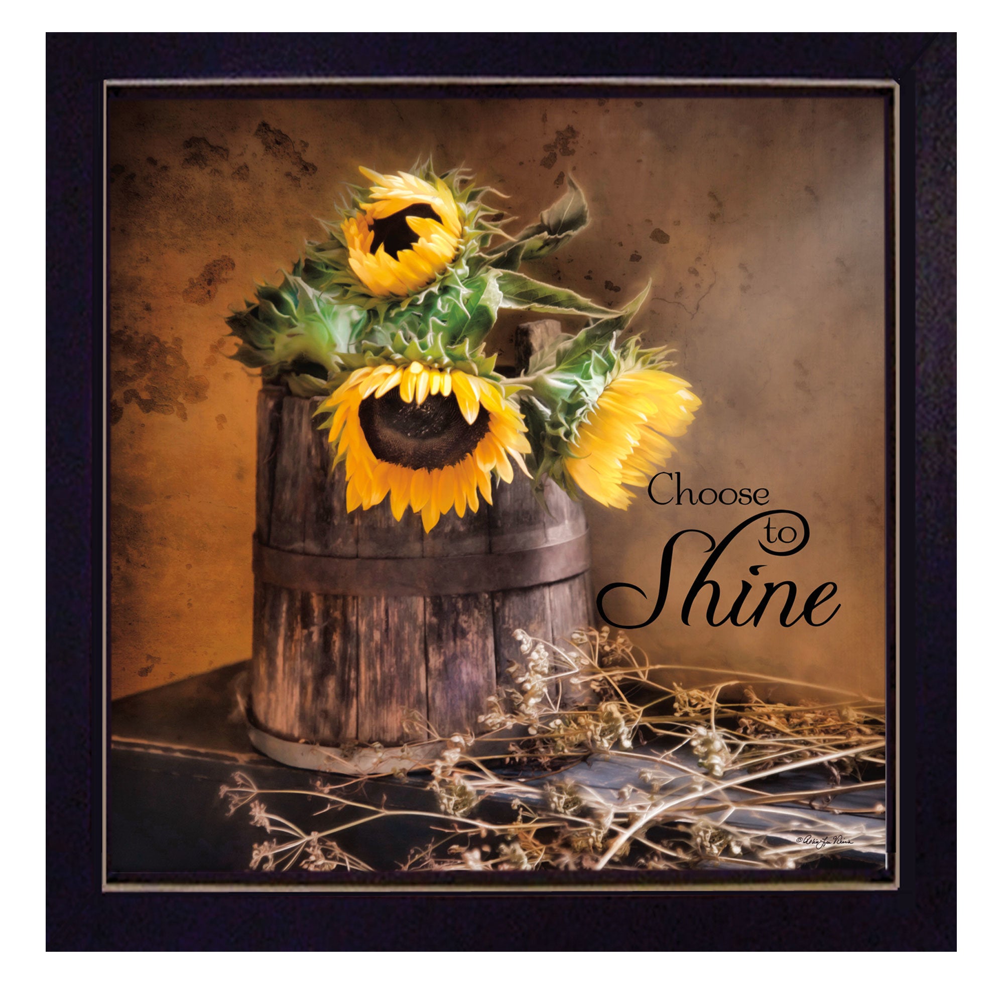 "Choose to Shine" By Robin-Lee Vieira, Printed Wall Art, Ready To Hang Framed Poster, Black Frame