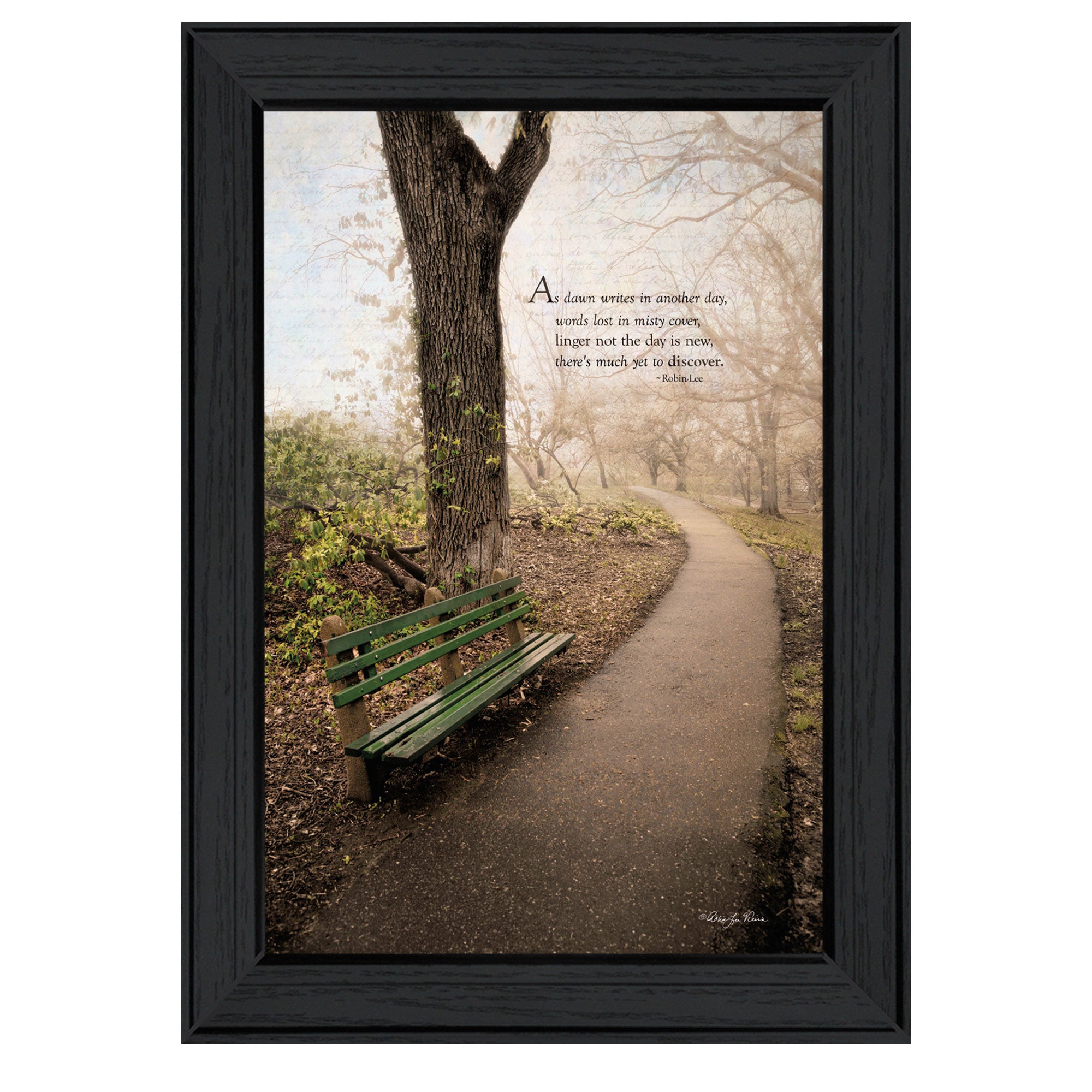 "Through the Mist" By Robin-Lee Vieira, Printed Wall Art, Ready To Hang Framed Poster, Black Frame
