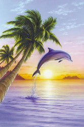 Dolphin Sunrise-24x36