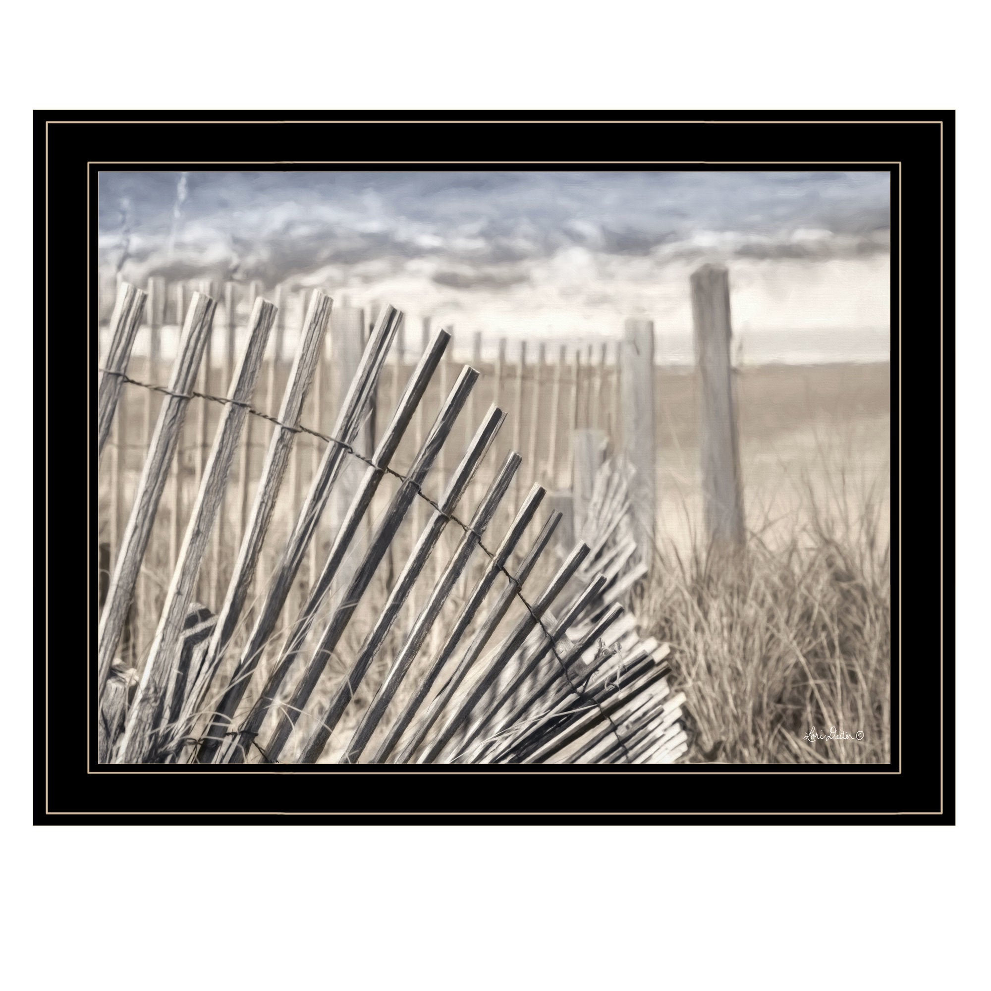 "On The Coastline" by Lori Deiter, Ready to Hang Framed Print, Black Frame