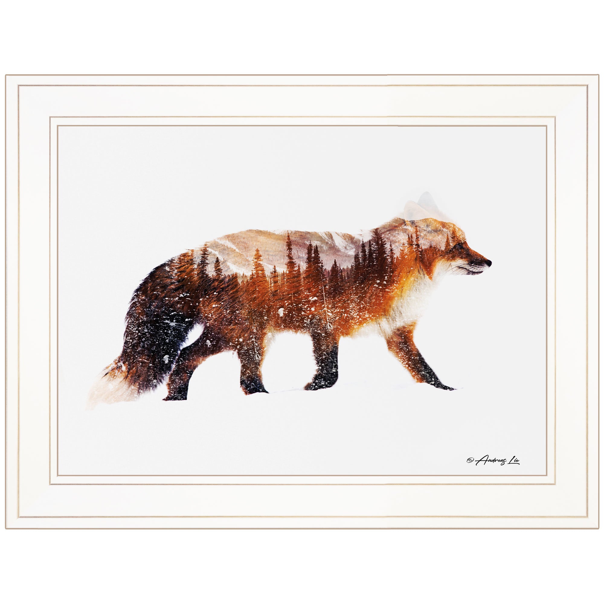 "Arctic Red Fox" by Andreas Lie, Ready to Hang Framed Print, White Frame