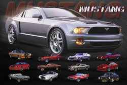 Mustang Evolution-16x20