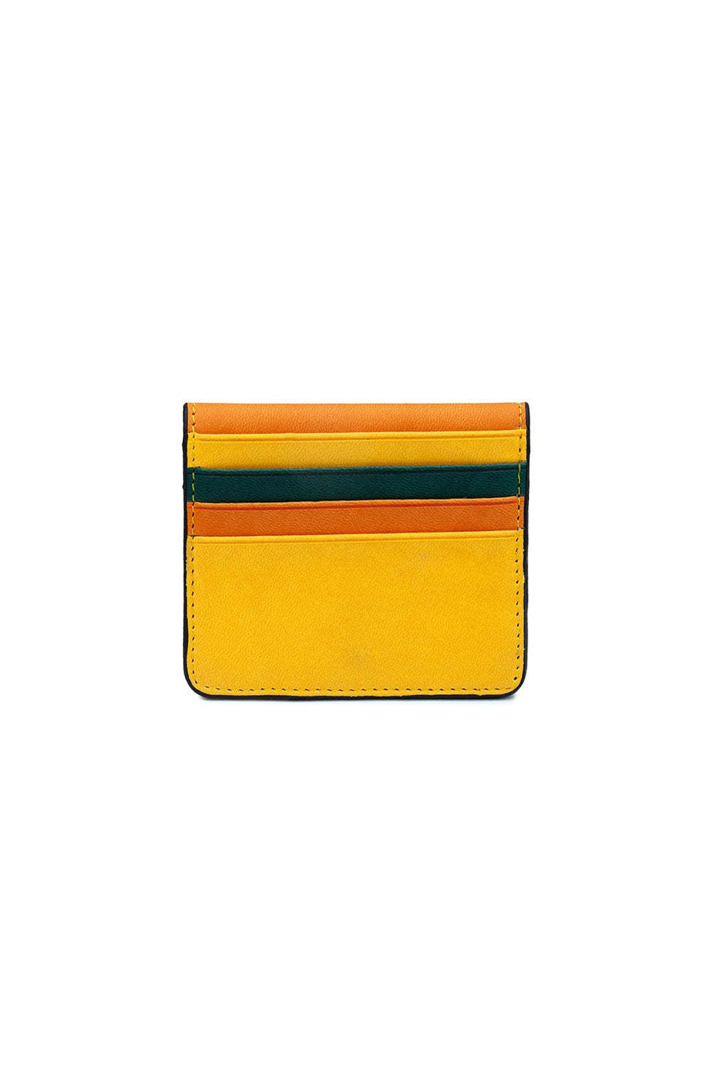 Case Look Carl - Colorful Card Holder