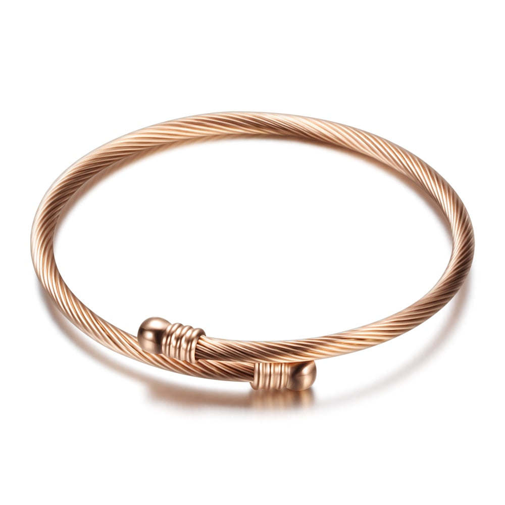 3 Colors lockable Braclets Bangles For Women Hot Selling Brand Jewelry 316L Stainless Steel Bracelet and Bangle Adjustable