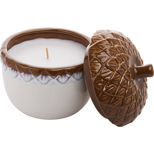 CARAMEL PUMPKIN by Northern Lights CERAMIC ACORN CANDLE 12 OZ