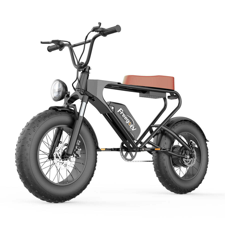 GT200 Off Road Mountain Electric Bike 20'' Fat tires 1200W Powerful Motor outdoor ebike