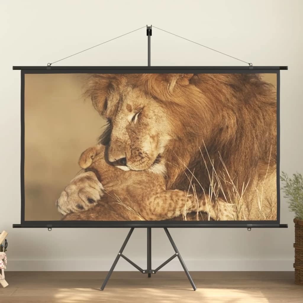 Projection Screen 84" 16:9