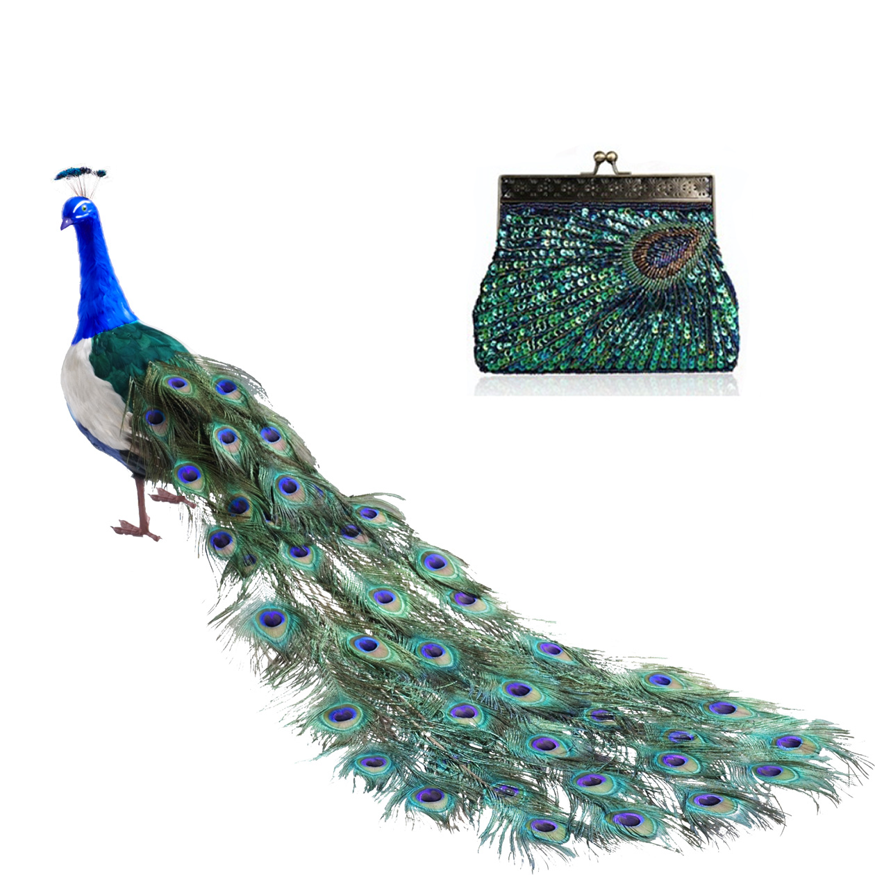 Peacock Crazy Clutch Eye-catching Ensemble In 8 Colors