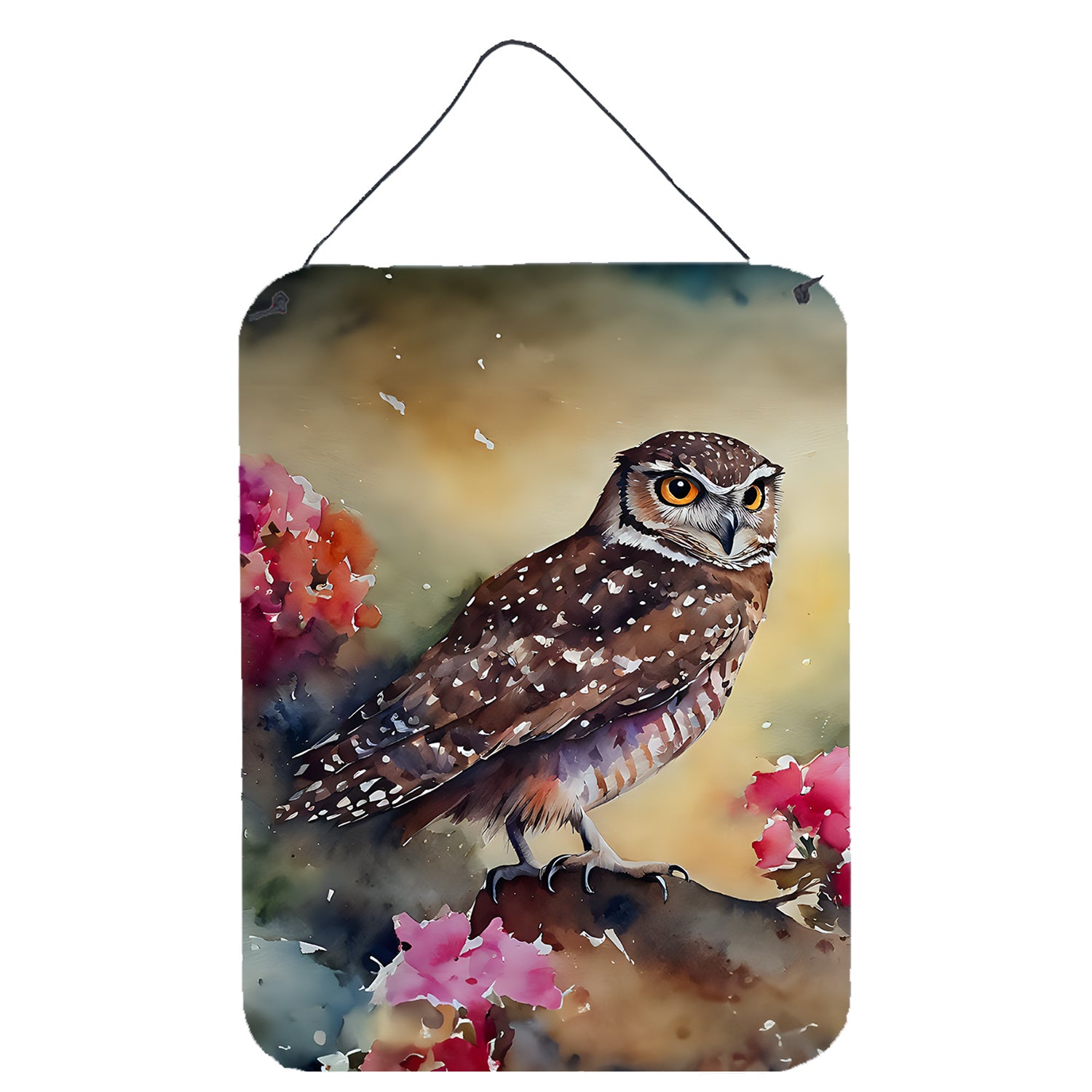 NEW Burrowing Owl Wall or Door Hanging Prints Aluminum Metal Sign Kitchen Wall Bar Bathroom Plaque Home Decor Front Door Plaque, 12x16, Multicolor