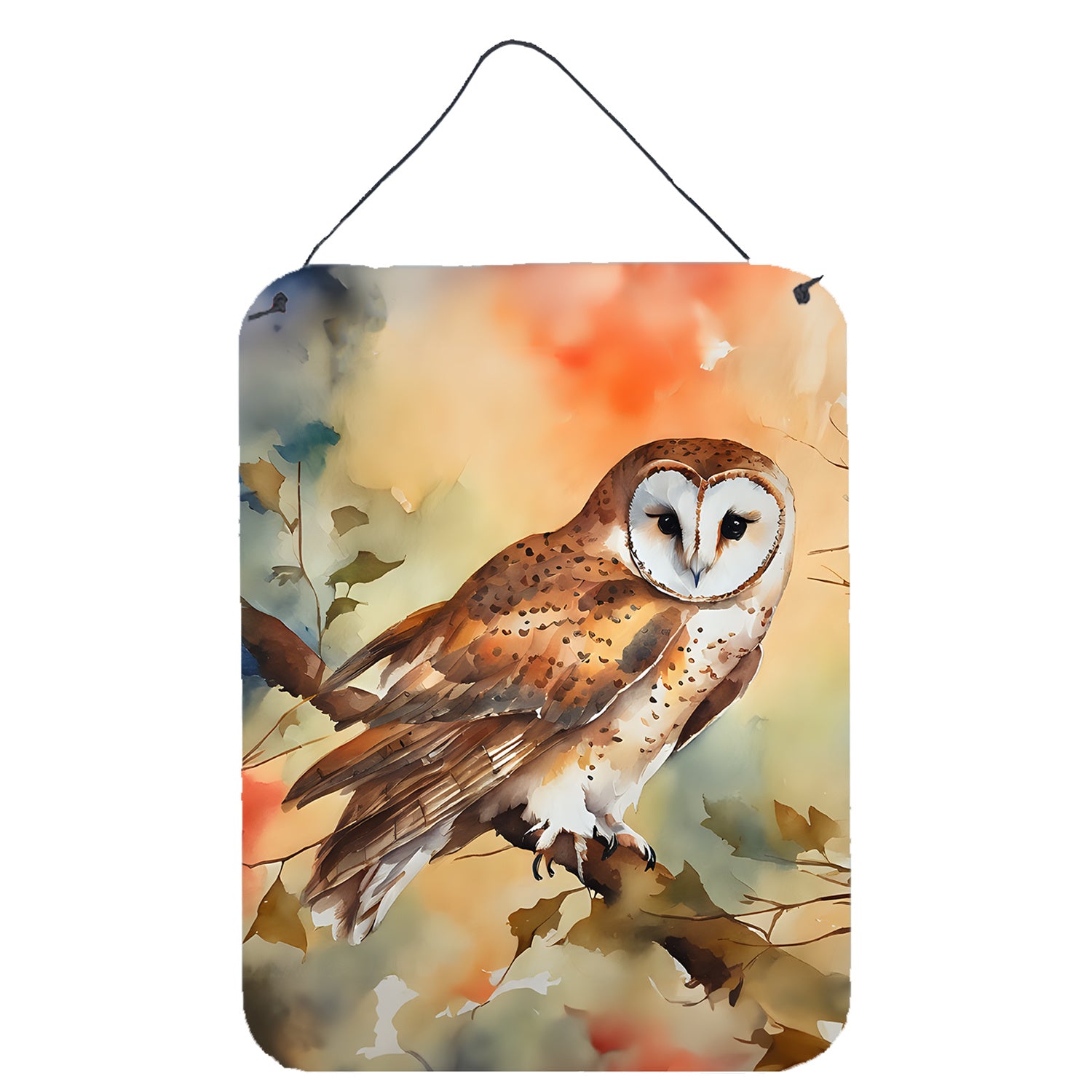 NEW Barn Owl Wall or Door Hanging Prints Aluminum Metal Sign Kitchen Wall Bar Bathroom Plaque Home Decor Front Door Plaque, 12x16, Multicolor