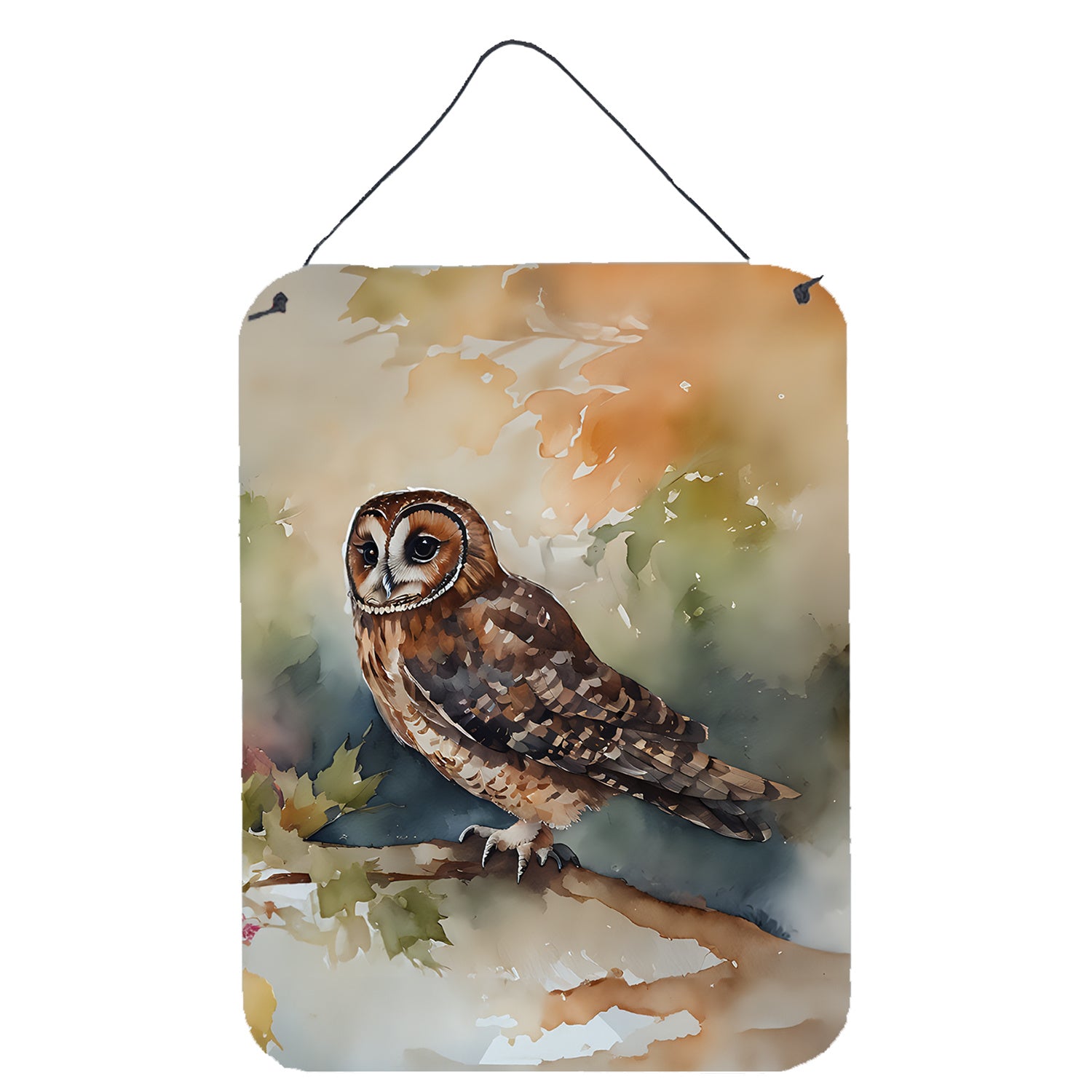 NEW Tawny Owl Wall or Door Hanging Prints Aluminum Metal Sign Kitchen Wall Bar Bathroom Plaque Home Decor Front Door Plaque, 12x16, Multicolor