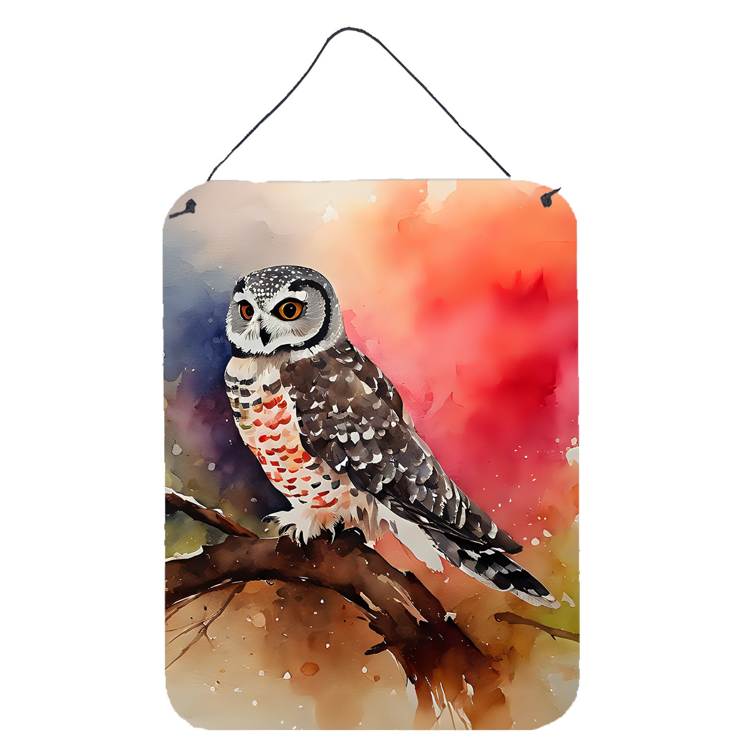 NEW Northern Hawk Owl Wall or Door Hanging Prints Aluminum Metal Sign Kitchen Wall Bar Bathroom Plaque Home Decor Front Door Plaque, 12x16, Multicolor