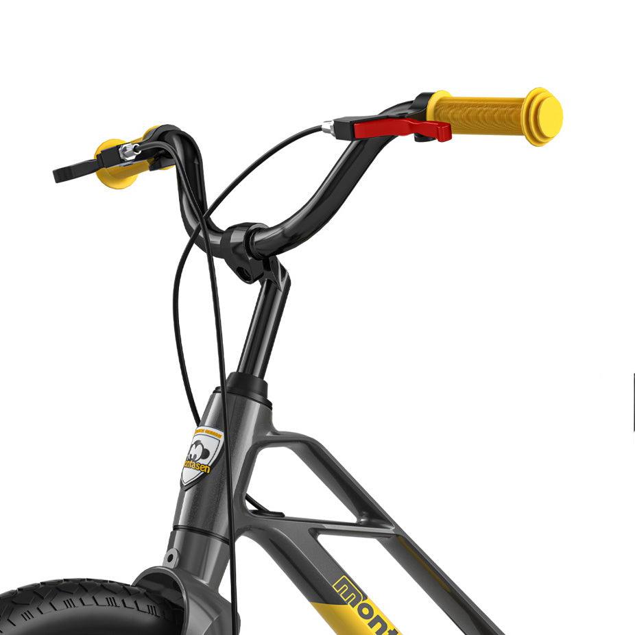 Montasen Kids Bike 16 Inch Bicycle for Boys Girls Ages 4-8 Years, Lightweight Magnesium Alloy Frame, Disc Adjustable Handlebar Training Wheels Gray Ye