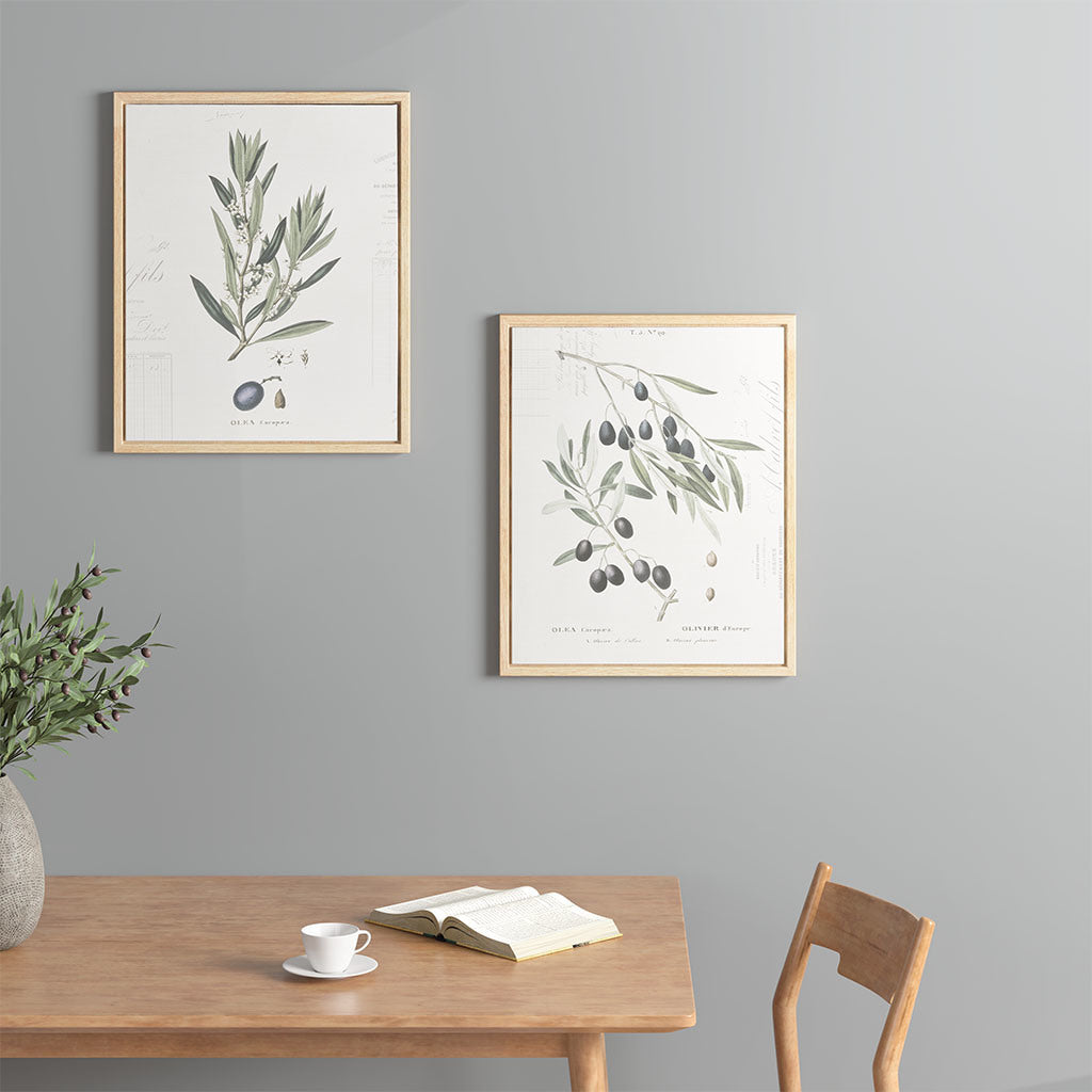 Botanical Illustration 2-piece Framed Canvas Wall Art Set