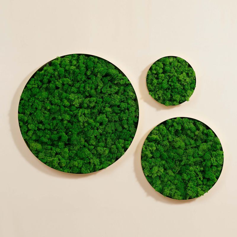 Round Framed Moss Wall Decor, only the Small pc