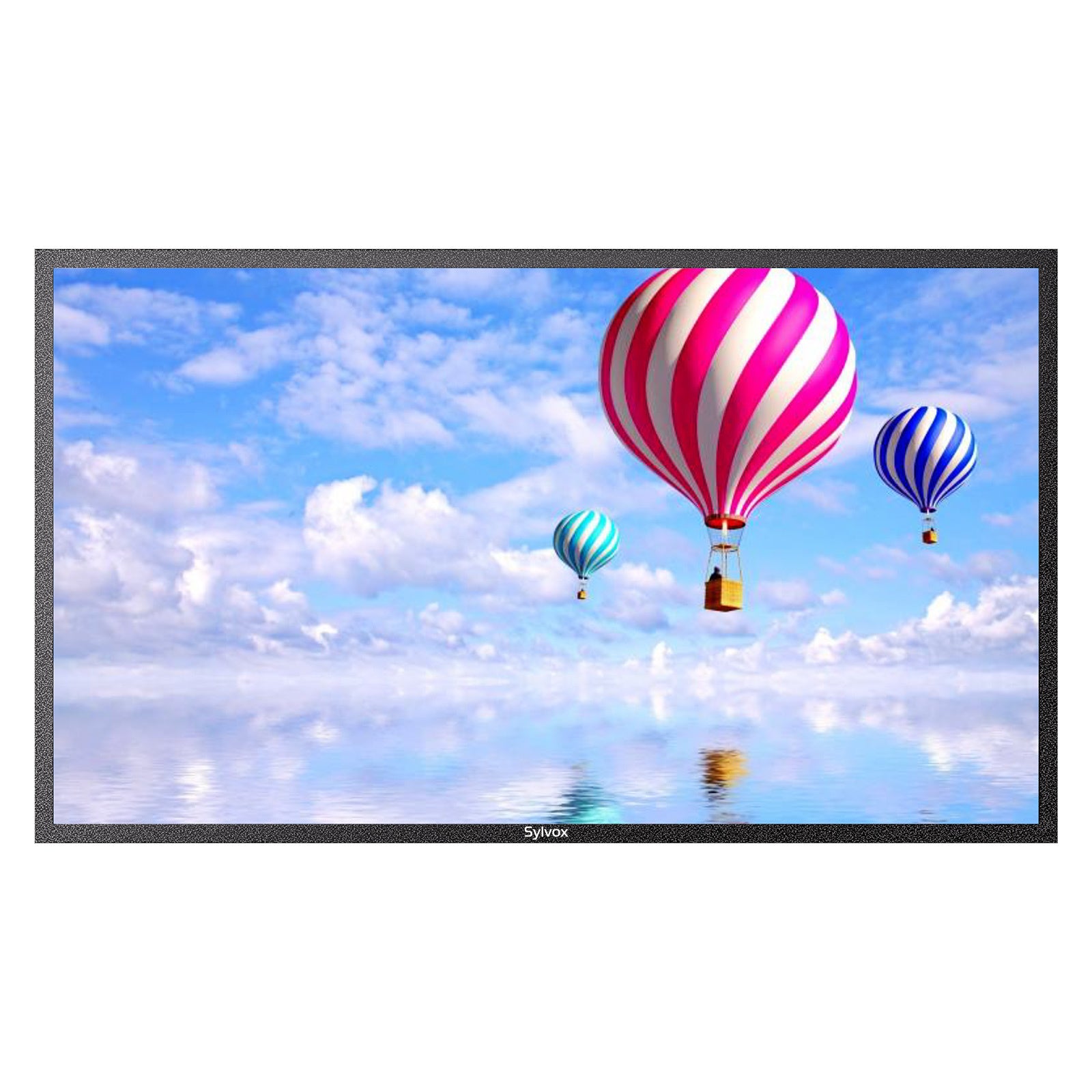 SYLVOX 65 inch Outdoor TV, 2000nits 4K UHD Weatherproof TV for Business, 2-Yr Warranty, 24/7 Operation, IP66 Waterproof Commercial TV HDMI, USB, RS232, Speakers, Tuner, Wireless, 2.4G WiFi