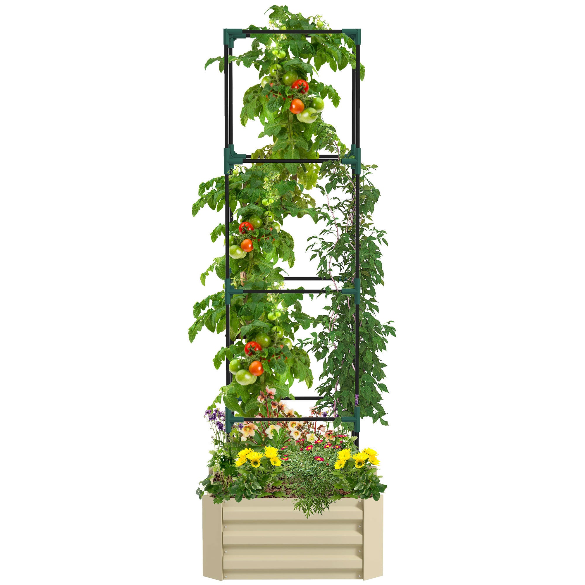 Outsunny Galvanized Raised Garden Bed, 24" x 24" x 11.75" Outdoor Planter Box with Trellis Tomato Cage and Open Bottom for Climbing Vines, Vegetables, Flowers in Backyard, Garden, Patio, Cream