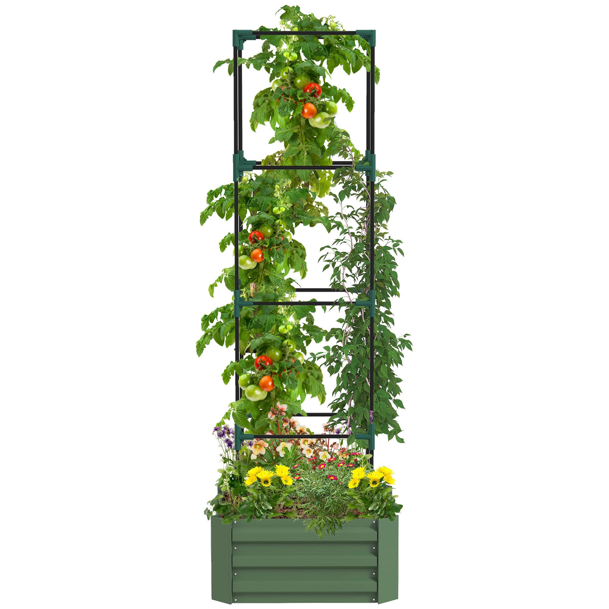 Outsunny Galvanized Raised Garden Bed, 24" x 24" x 11.75" Outdoor Planter Box with Trellis Tomato Cage and Open Bottom for Climbing Vines, Vegetables, Flowers in Backyard, Garden, Patio, Green