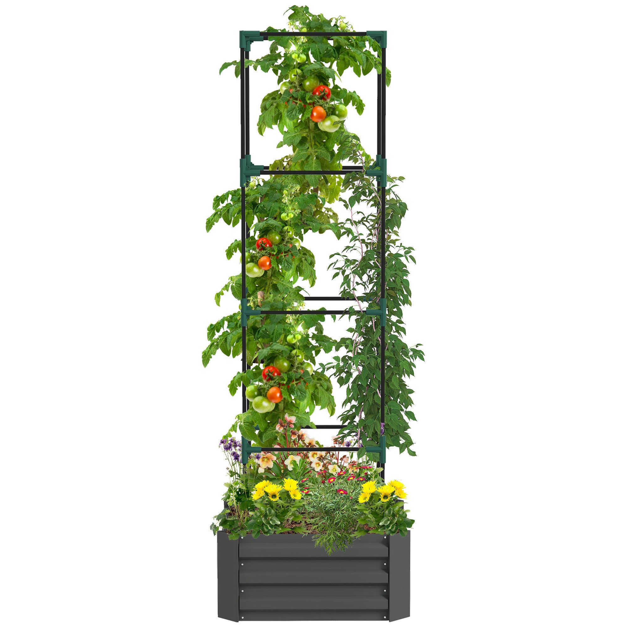 Outsunny Galvanized Raised Garden Bed, 24" x 24" x 11.75" Outdoor Planter Box with Trellis Tomato Cage and Open Bottom for Climbing Vines, Vegetables, Flowers in Backyard, Garden, Patio, Gray