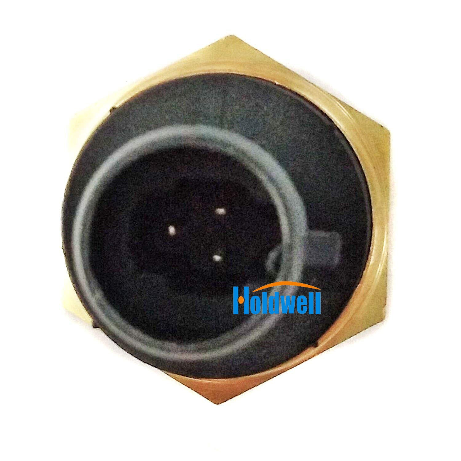Holdwell Oil Pressure Sensor 6674315 for Bobcat 751 753 763 773 863 864 873 883 963 A220 A300 S130 S150 S160 S175 S185 S205 S220 S250 S300 T140 T180 T