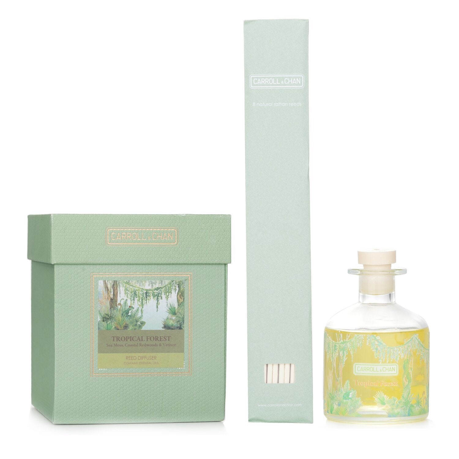 CARROLL & CHAN - Reed Diffuser Refill Set - # Tropical Forest (Sea Moss, Coastal Redwoods & Vetiver) 014851 200ml/6.76oz